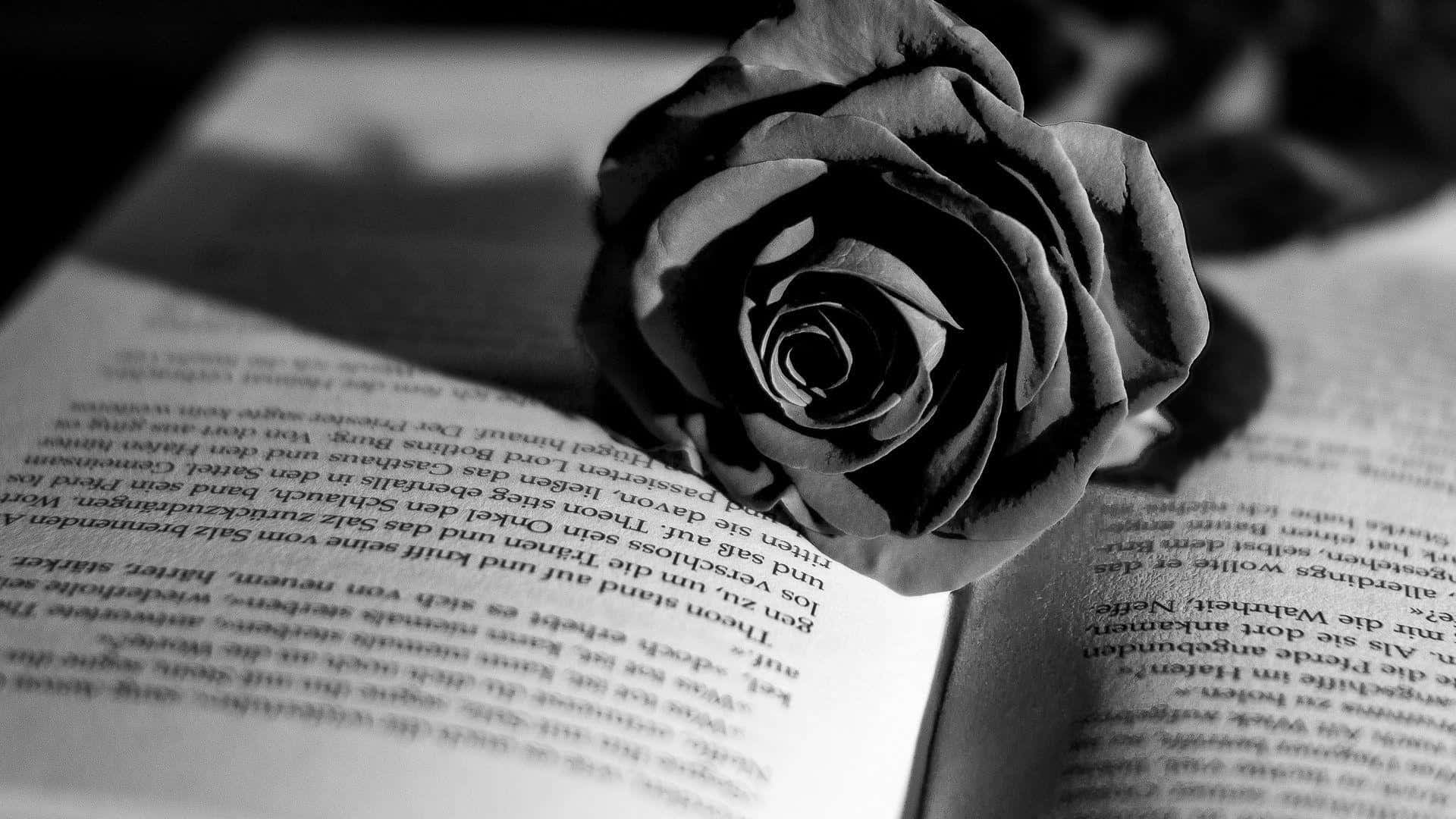 Black And White Book, open book, black and white rose, Full HD Desktop Wallpaper