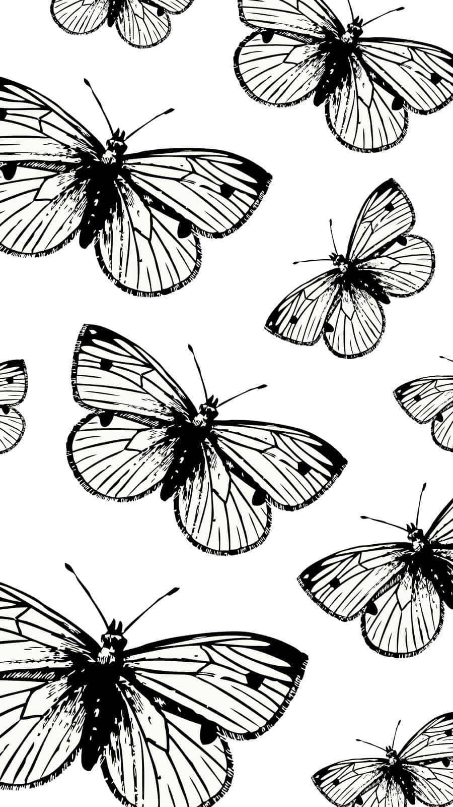 monochrome butterfly pattern, black and white pattern, intricately detailed butterflies, HD Phone Wallpaper