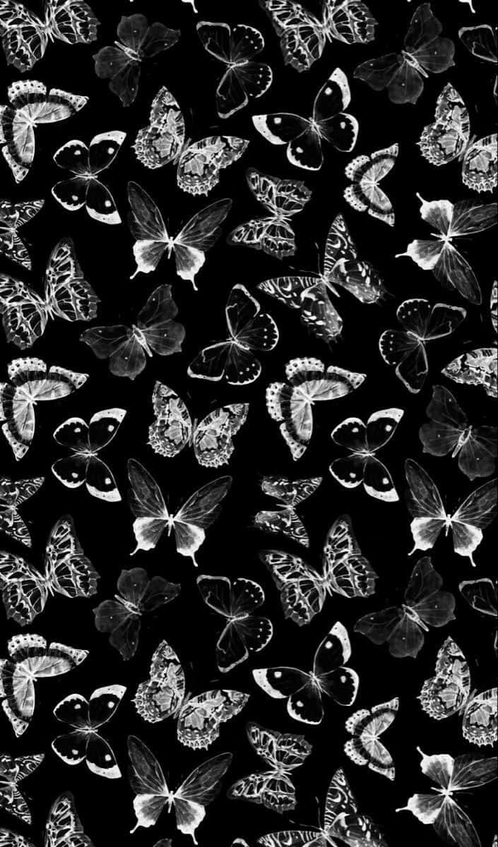 monochrome butterfly pattern, intricate wing details, solid black background, SD Phone Wallpaper