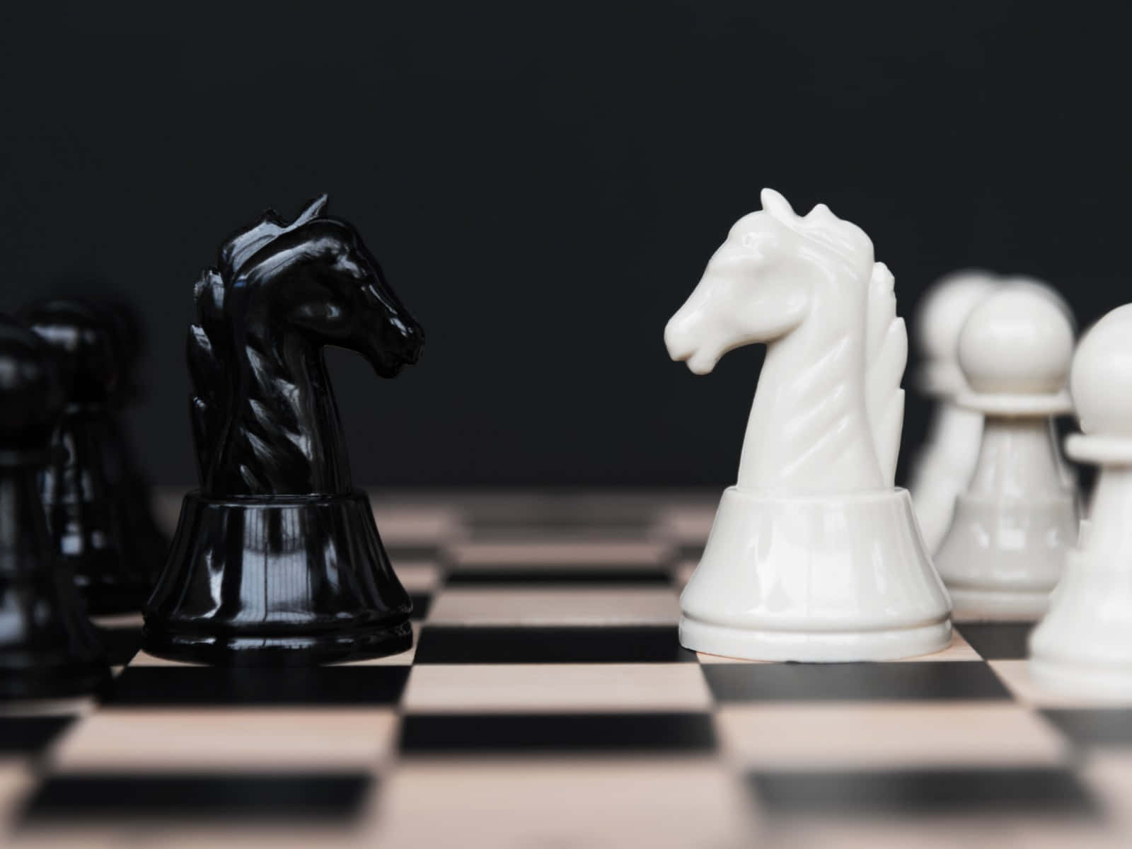 chessboard, chess knights, checkered board, HD Desktop Wallpaper