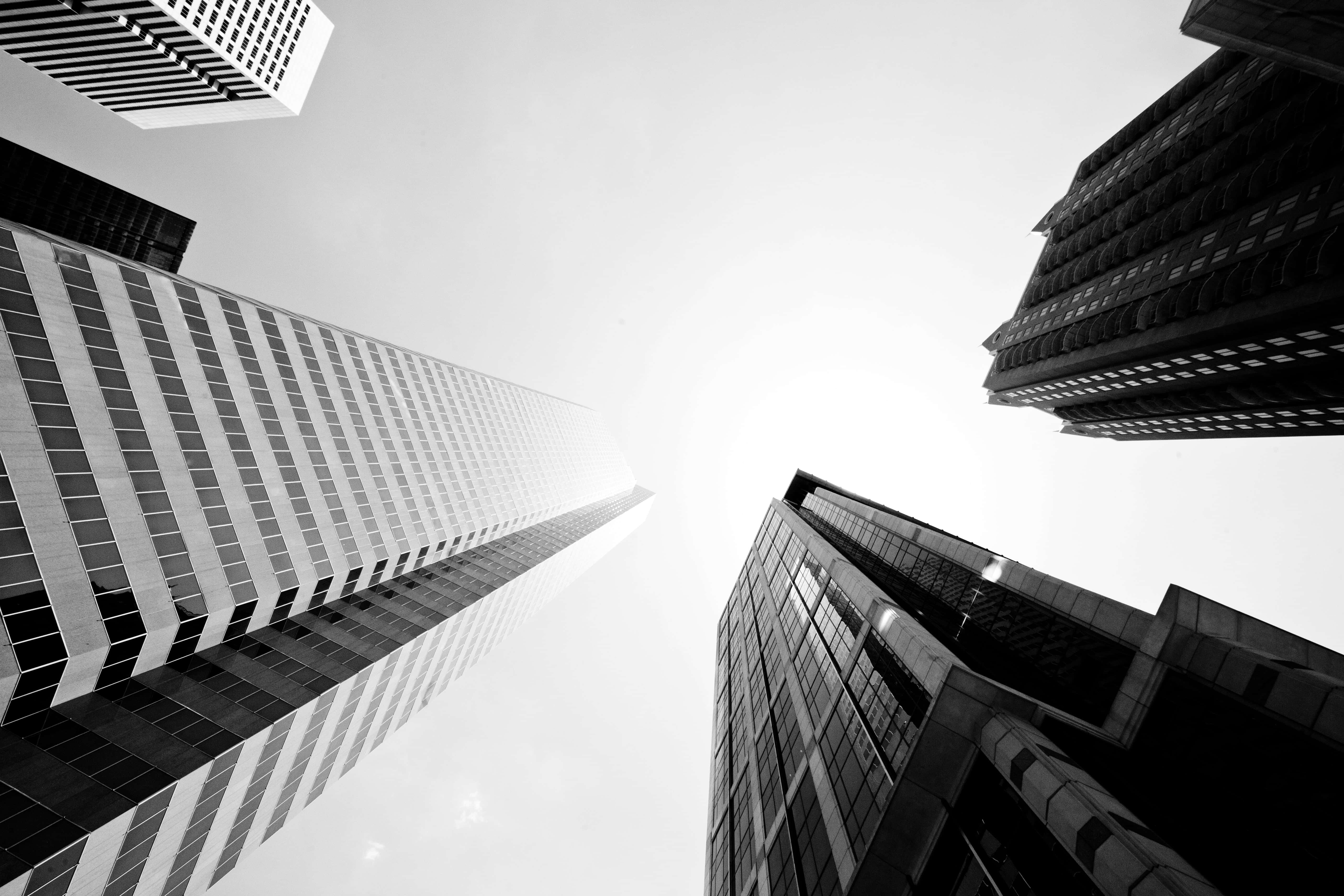 Black And White City, low angle shot, towering skyscrapers, 5K Desktop Wallpaper