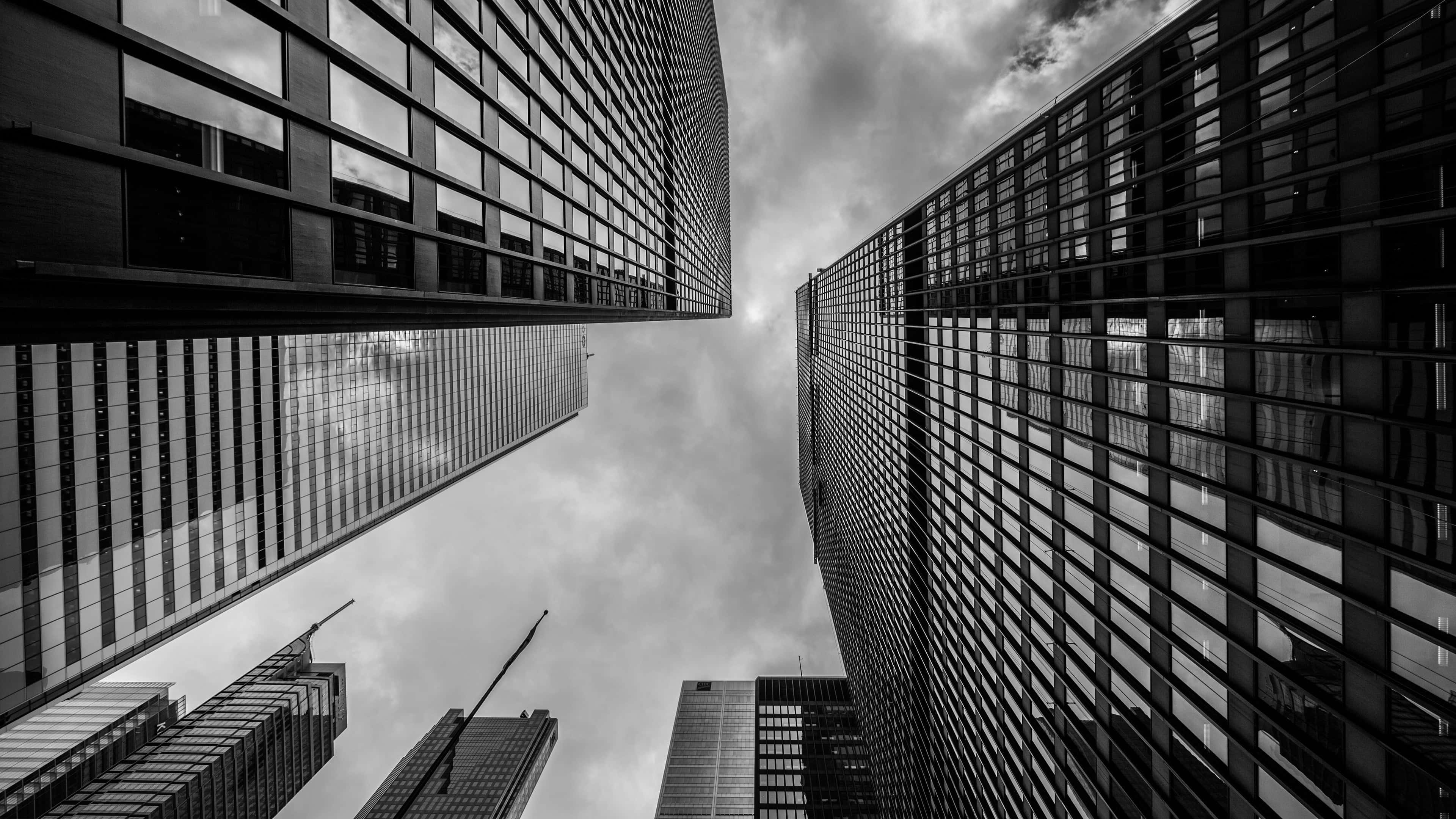 black and white city, futuristic skyline, glass skyscrapers, 4K Desktop Wallpaper