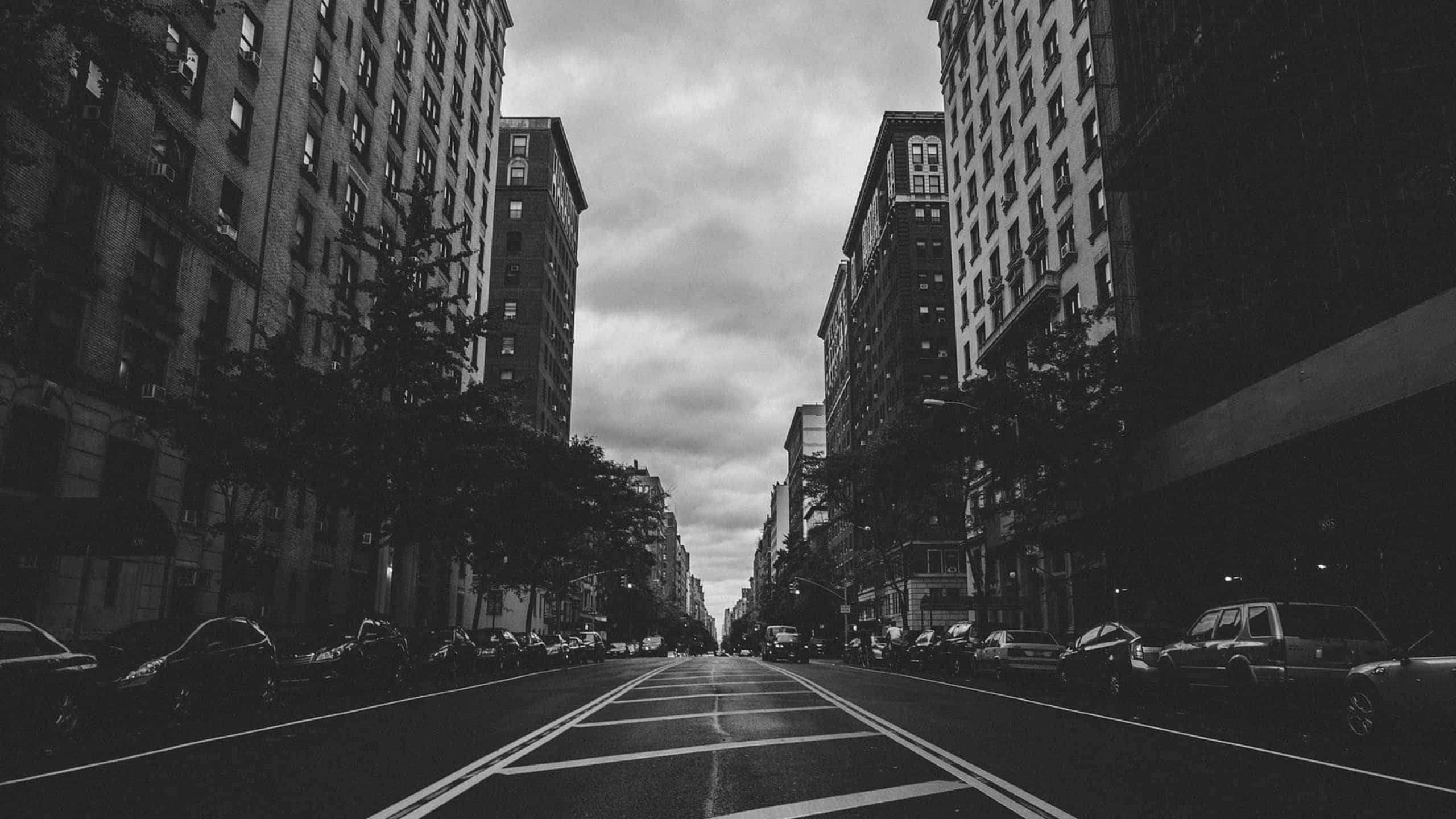 black and white cityscape, monochrome urban street, tall buildings, 2K Desktop Wallpaper