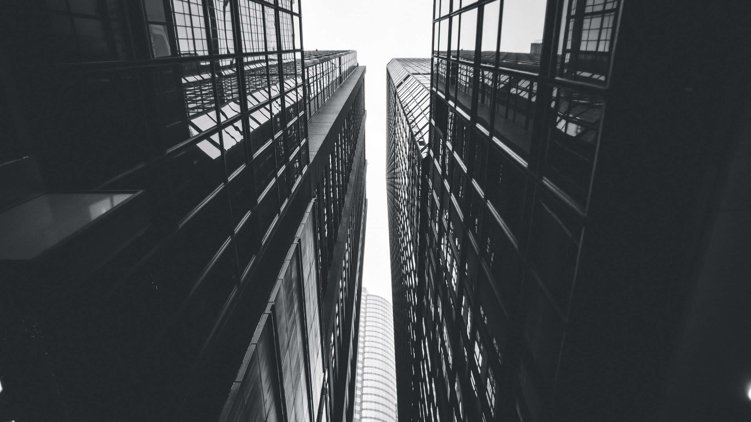 black and white, tall buildings, glass skyscrapers, 2K Desktop Wallpaper