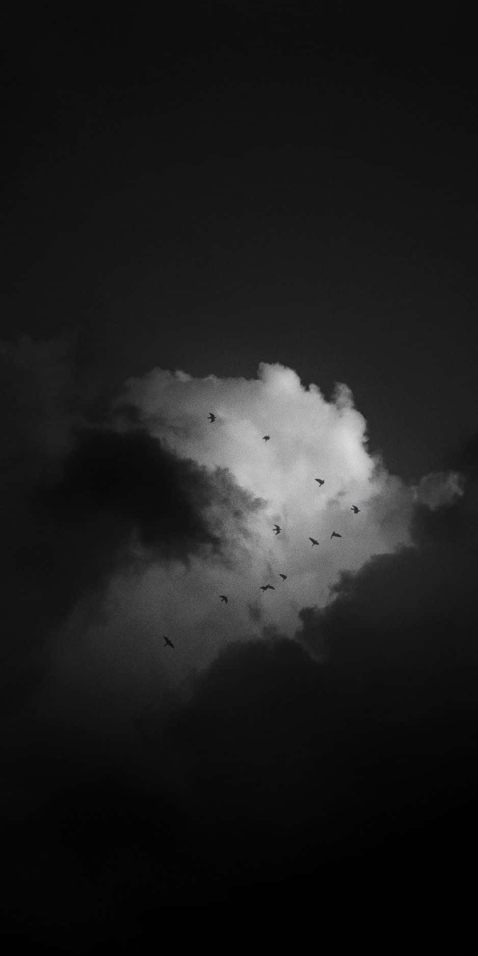 Black And White Cloud, flock of birds, formation, HD Phone Wallpaper