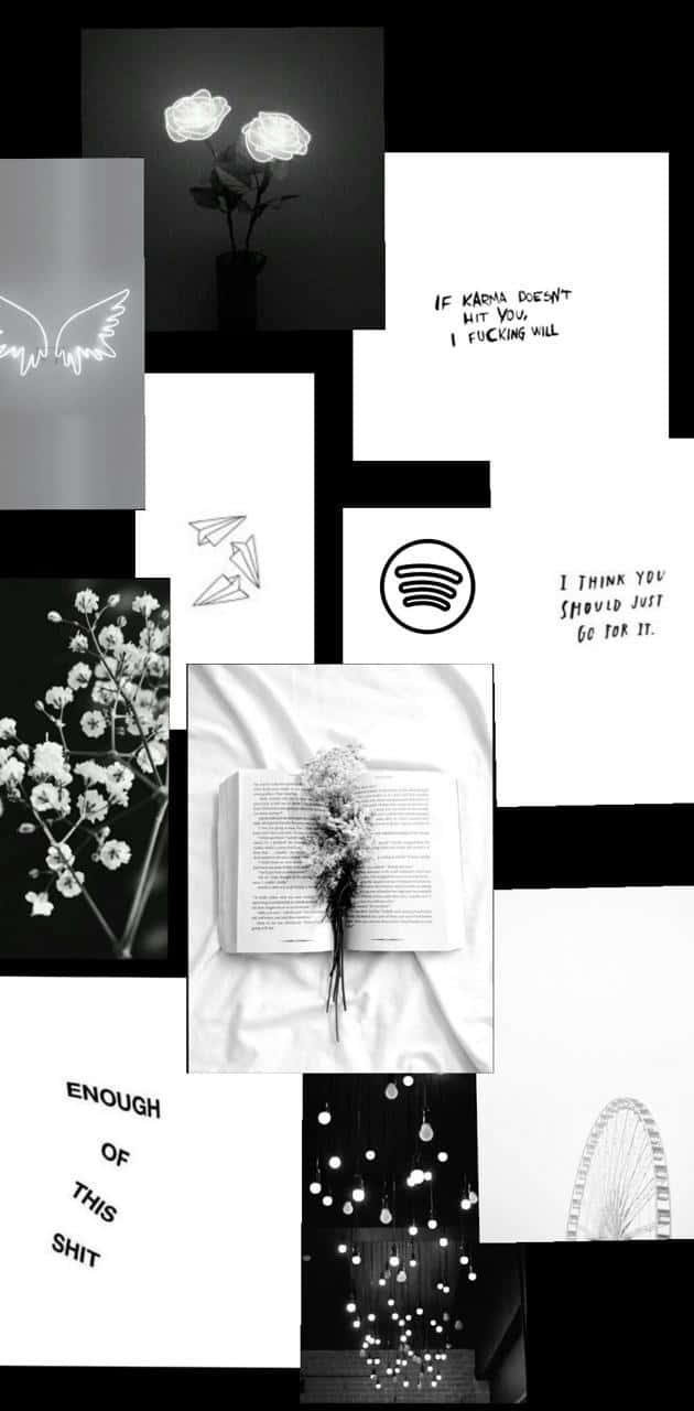 black and white collage, roses, wings, HD Phone Wallpaper