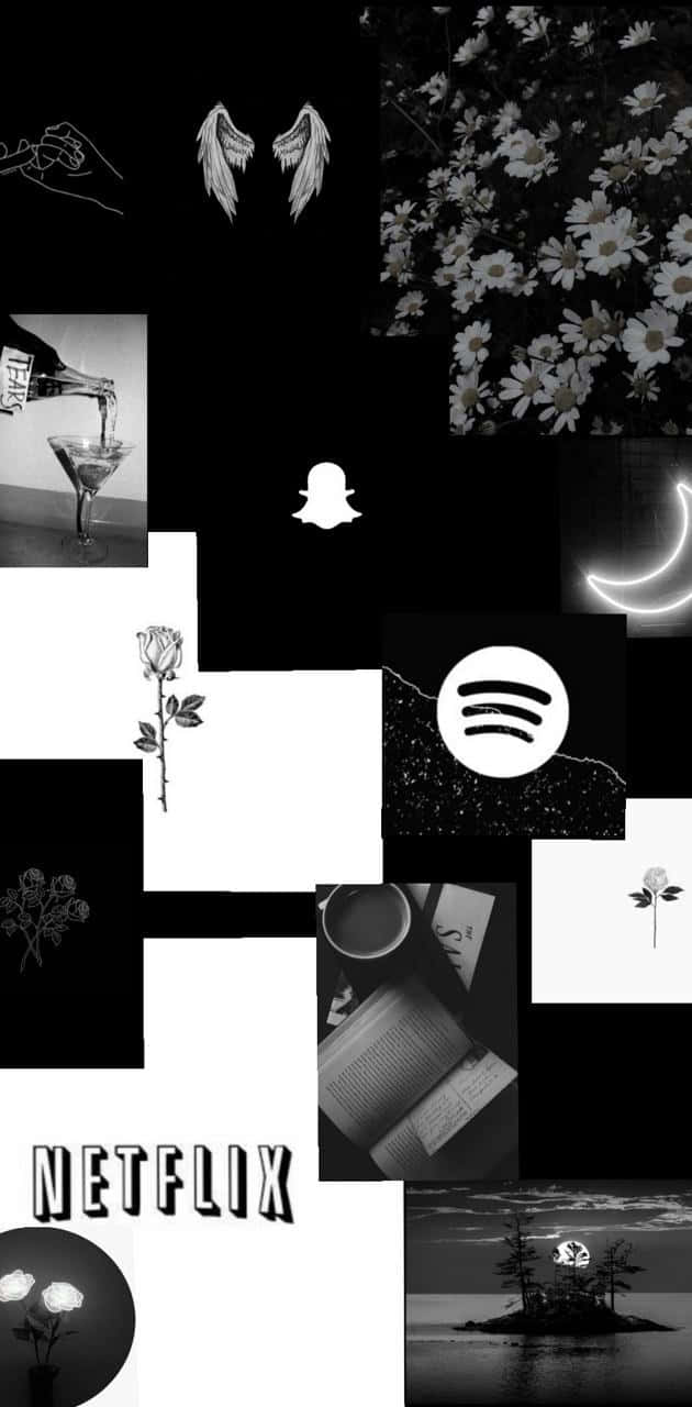 black and white collage, minimalist icons, flowers, HD Phone Wallpaper
