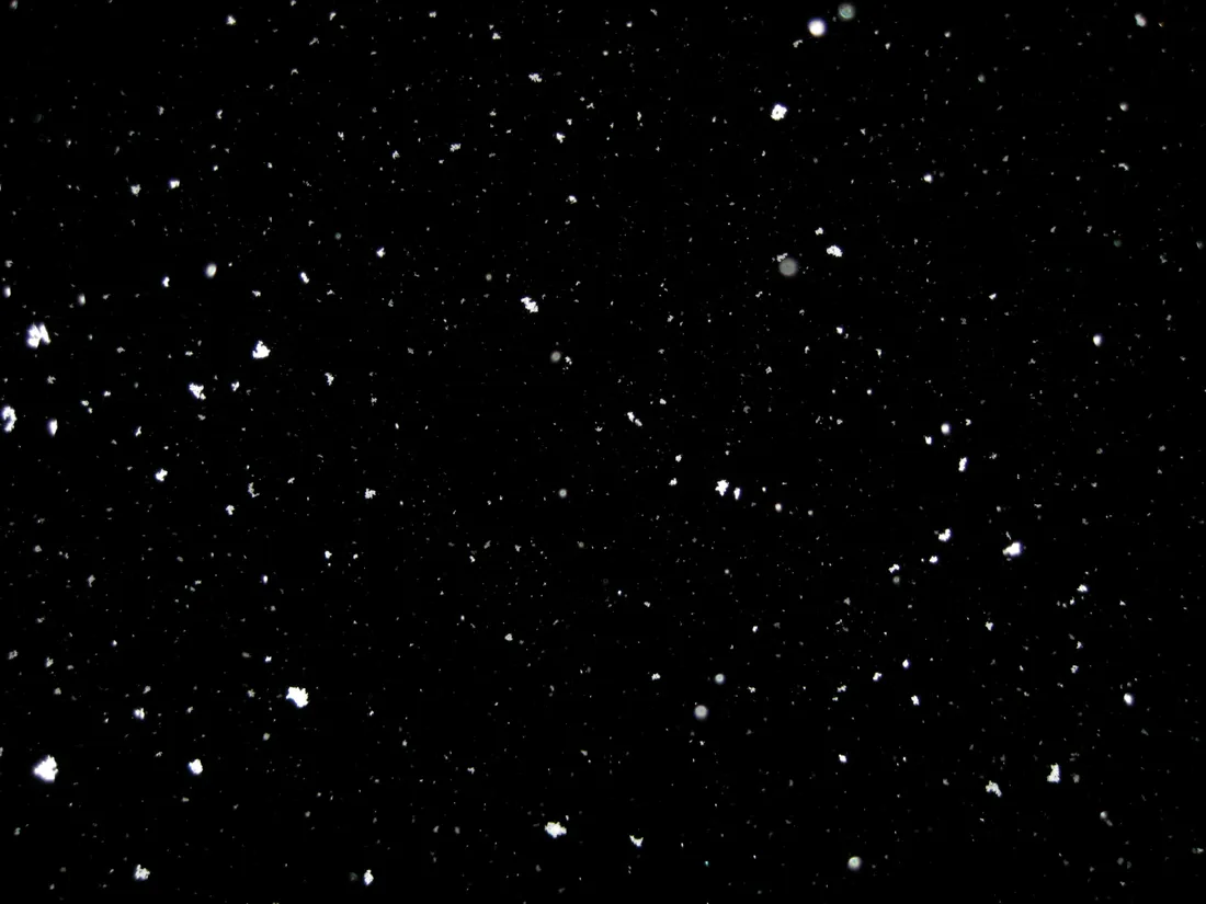 Black And White Dots