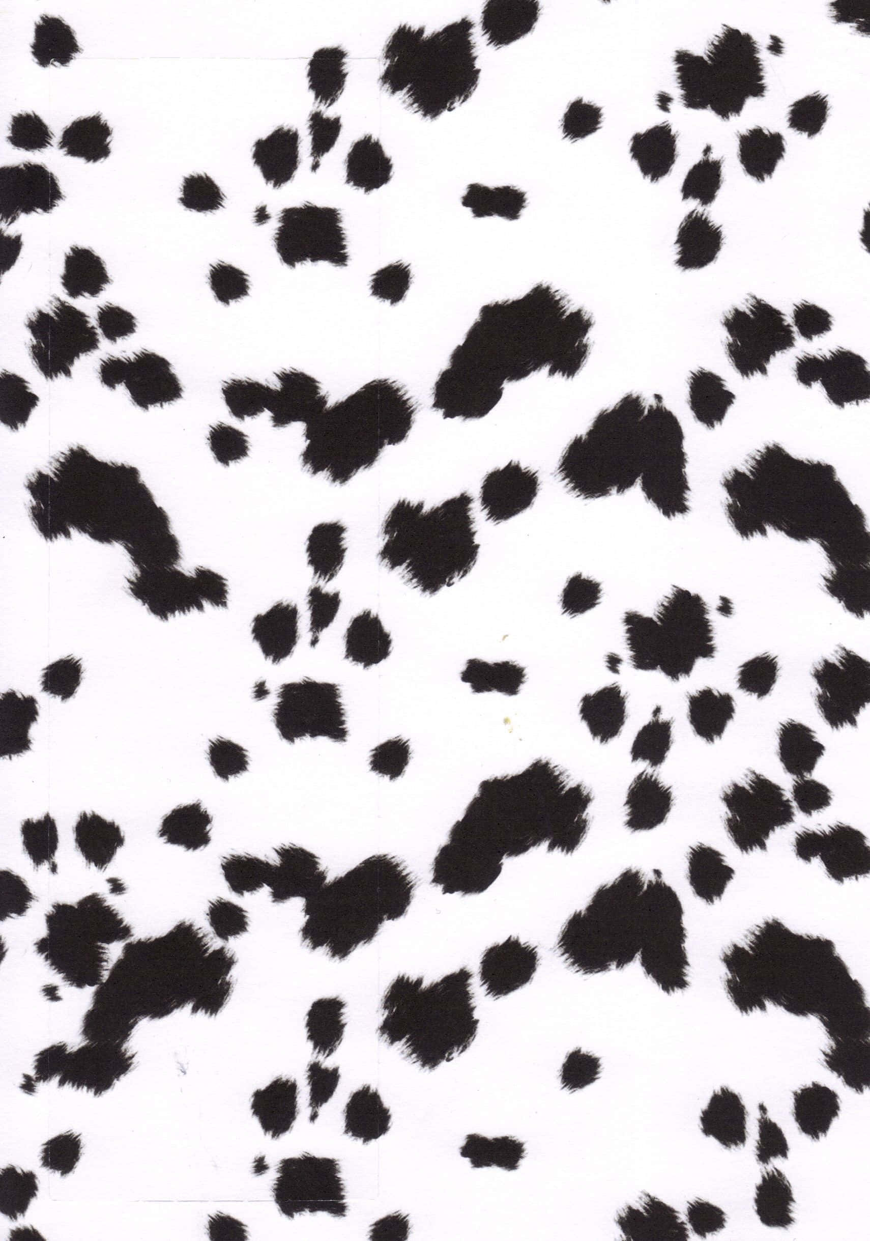 black and white pattern, irregular spots, cowhide texture, Full HD Phone Wallpaper