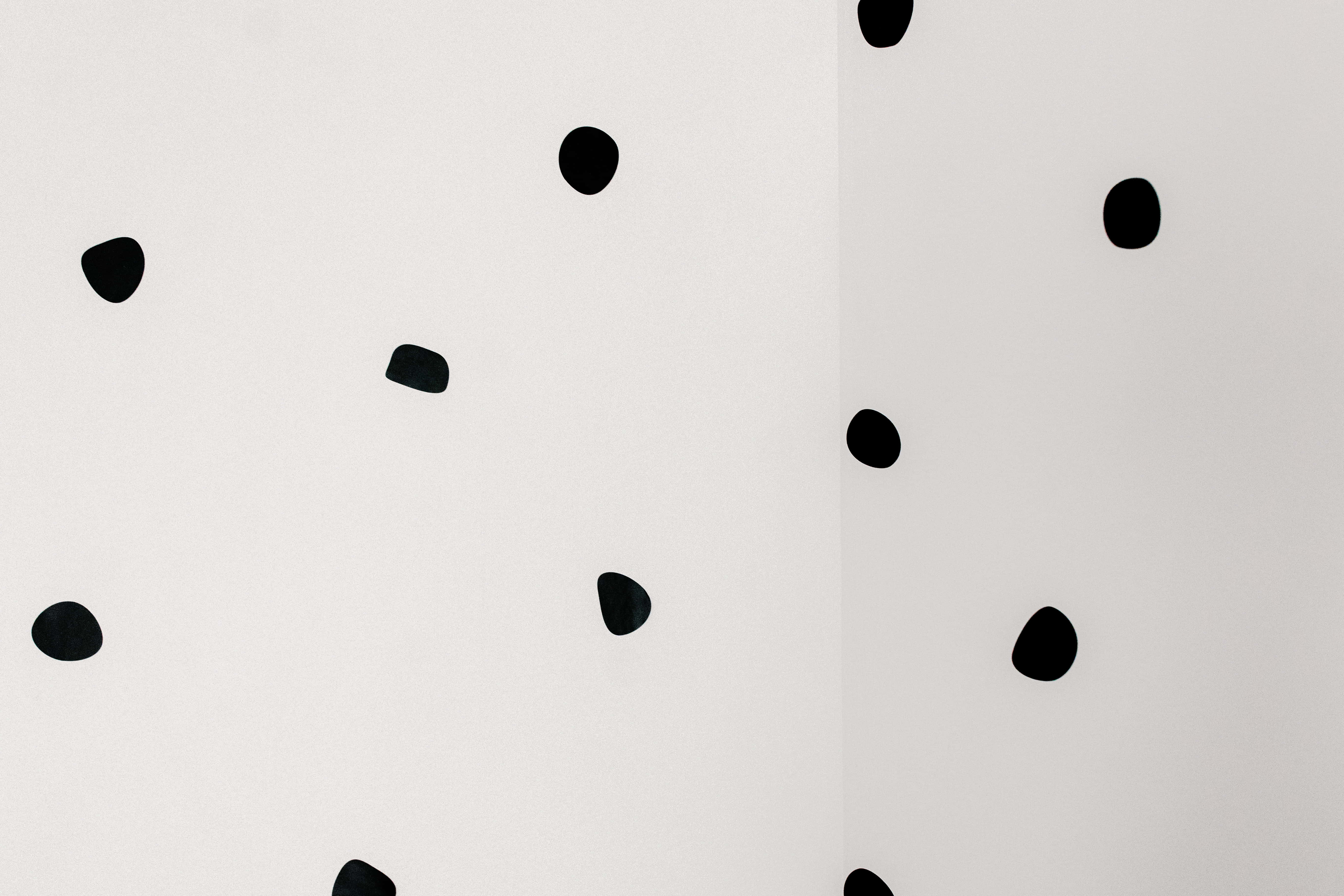 black and white dots, abstract pattern, minimalist white wall, 5K Desktop Wallpaper