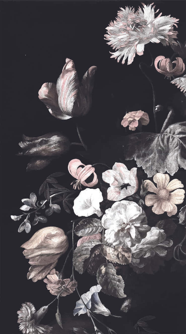 black and white flower, iPhone wallpaper, vintage floral arrangement, HD Phone Wallpaper