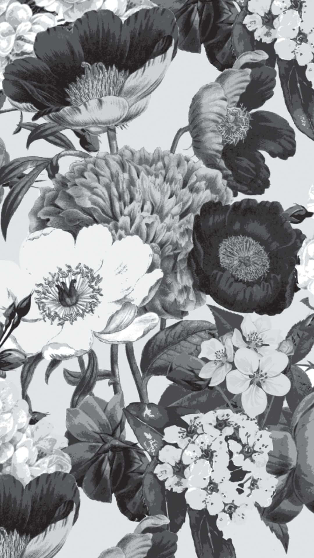 black and white flower, iPhone, monochrome floral, Full HD Phone Wallpaper