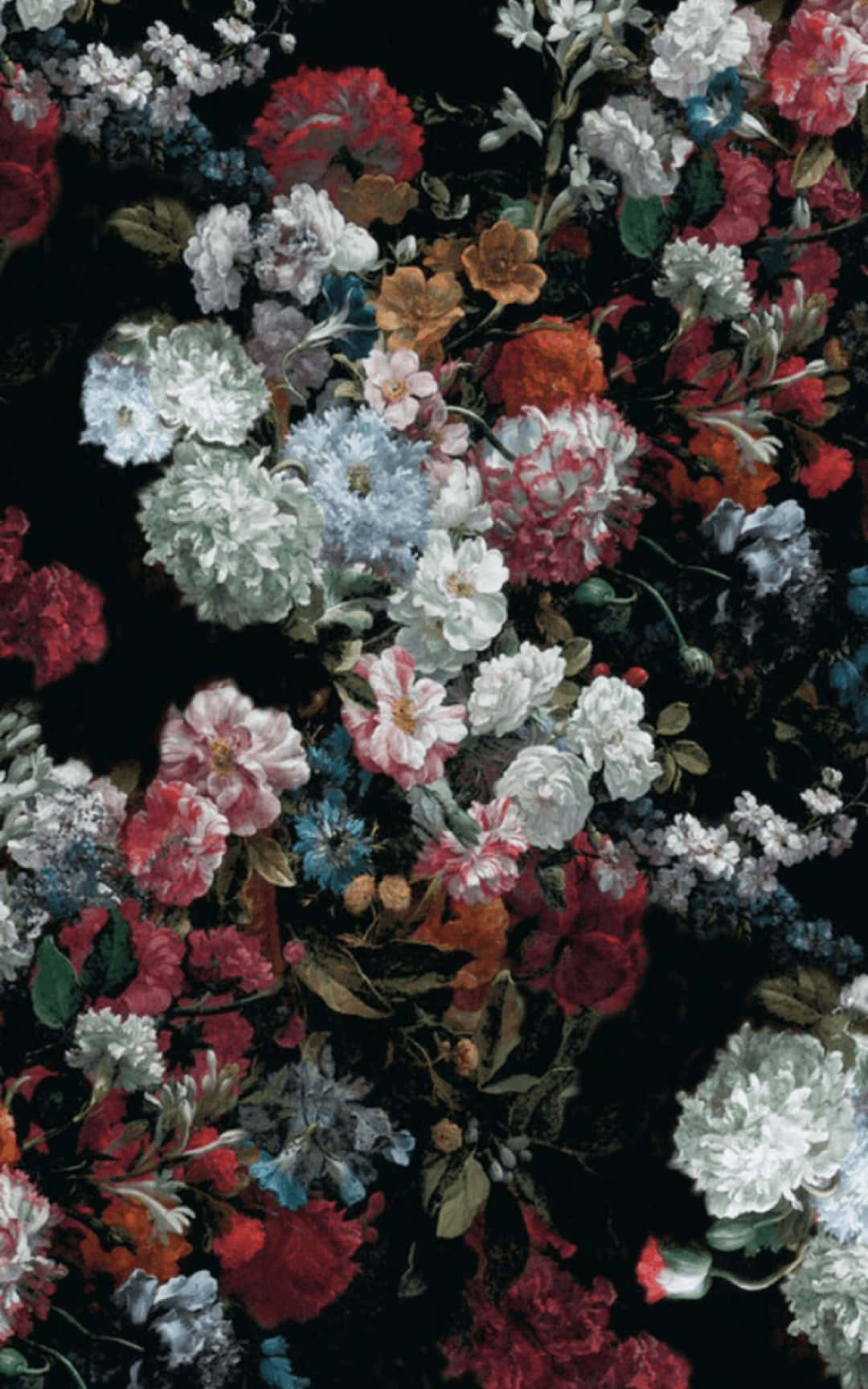 black floral print, red white and blue blossoms, deep black background, HD Phone Wallpaper