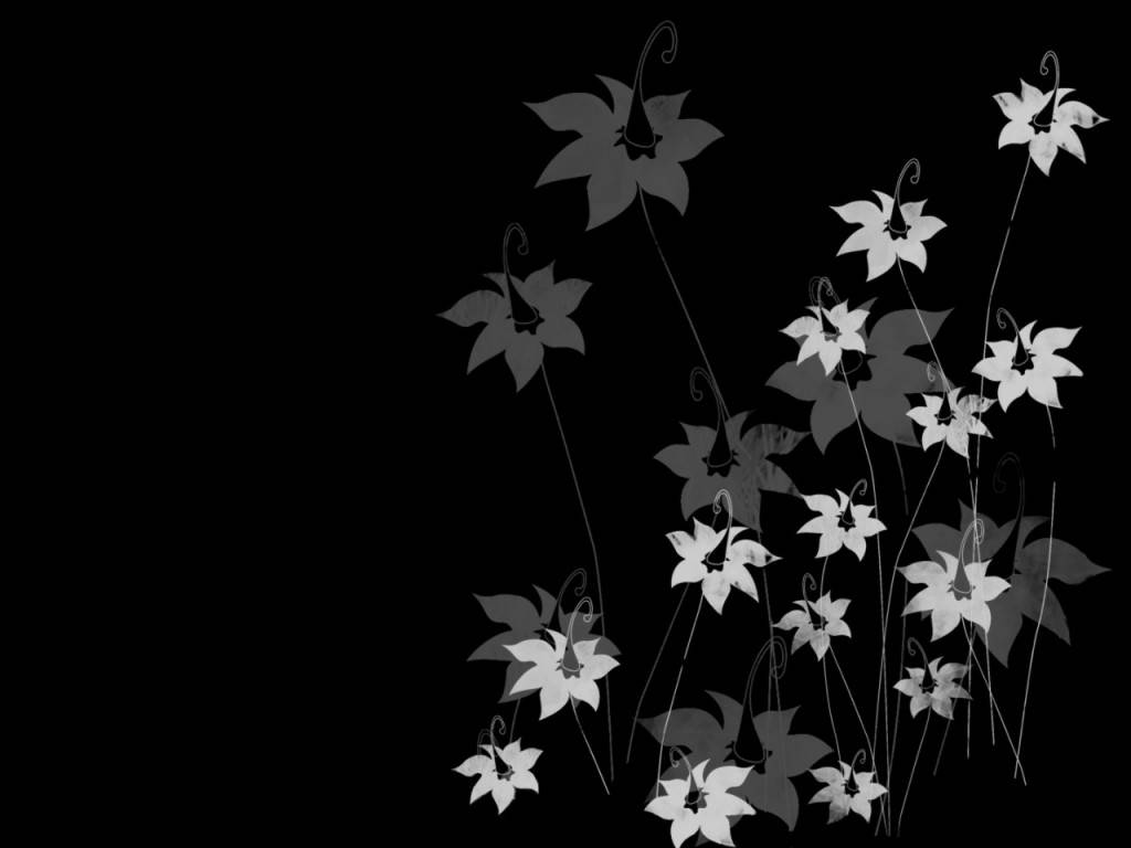 Black And White Flower, monochrome, floral silhouettes, SD Desktop Wallpaper