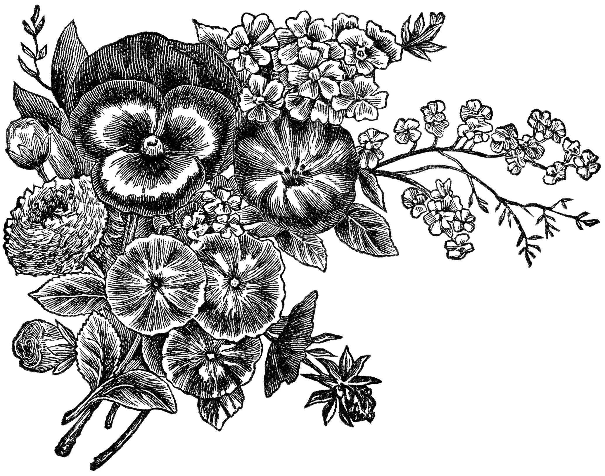 black and white vintage illustration, lush floral bouquet, pansies, Full HD Desktop Wallpaper
