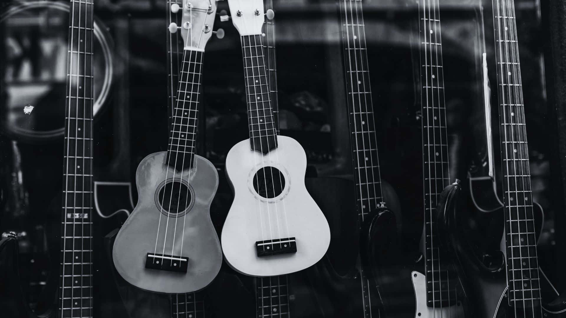 black and white guitar, ukuleles and guitars, music store window, Full HD Desktop Wallpaper