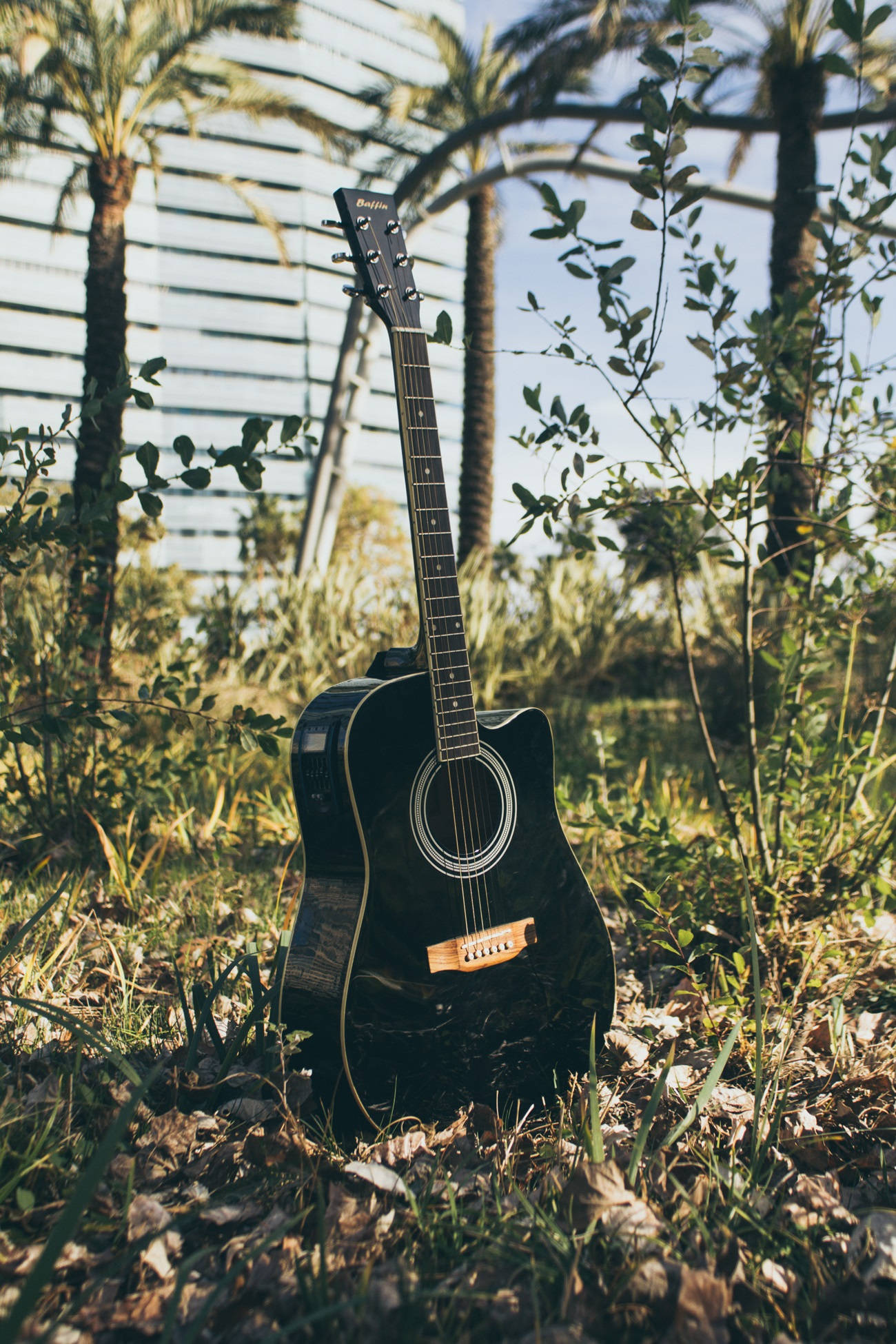 shiny black acoustic guitar, sunlit grass, palm trees, Full HD Phone Wallpaper