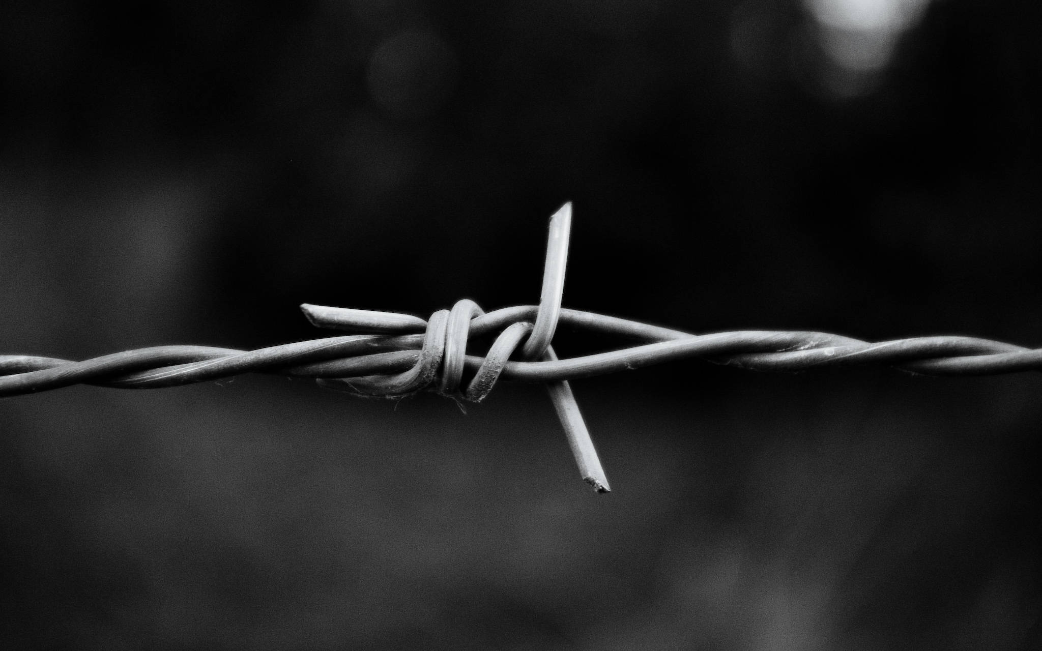 black and white hd, barbed wire, single strand, Full HD Desktop Wallpaper