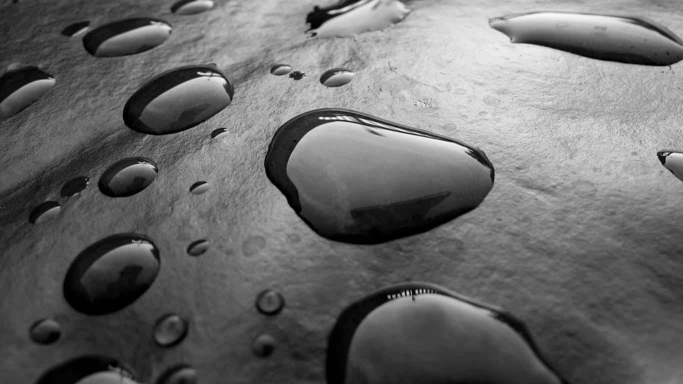 black and white, raindrops, textured metallic surface, HD Desktop Wallpaper