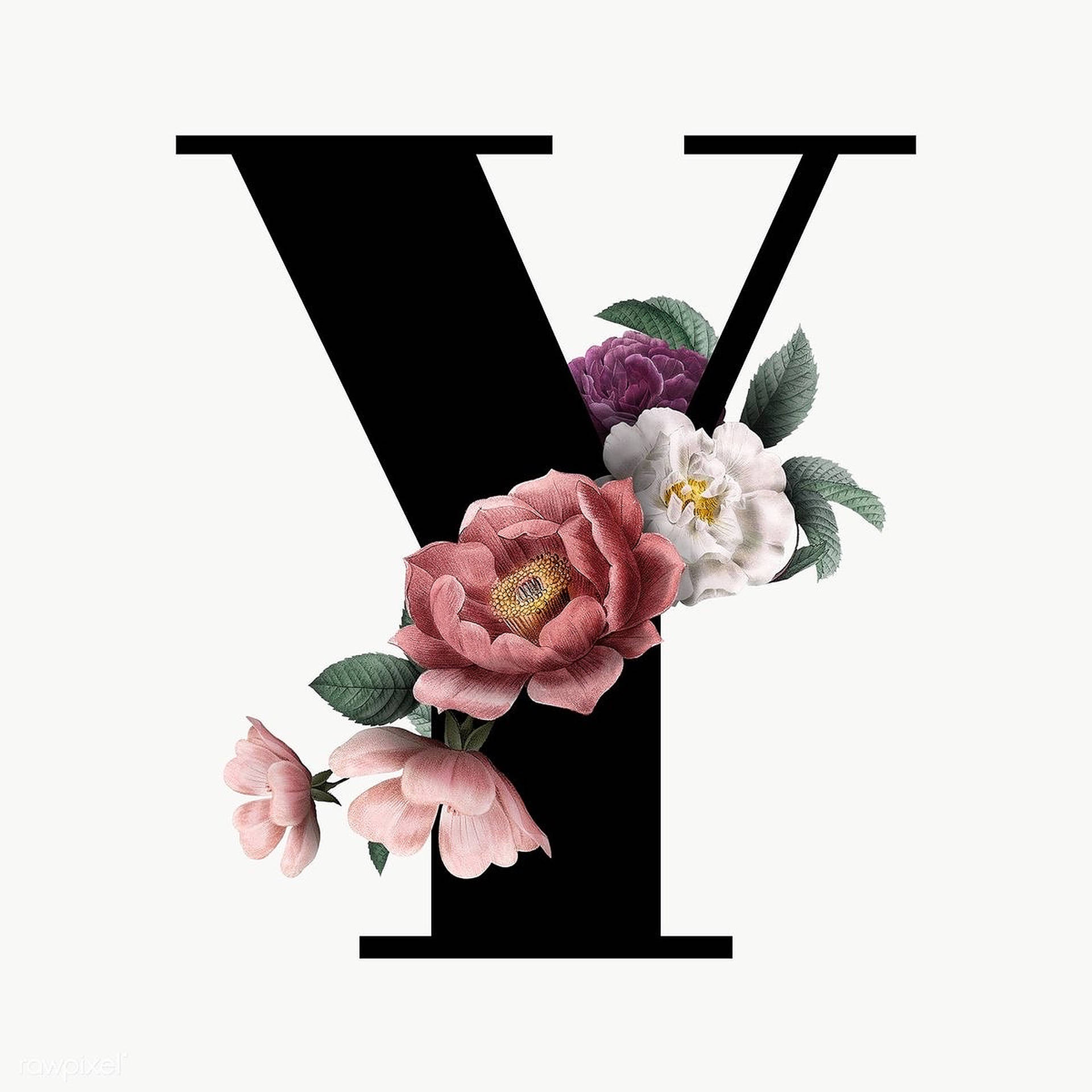 Black Letter Y, pink flowers, white flowers, Full HD Desktop Wallpaper