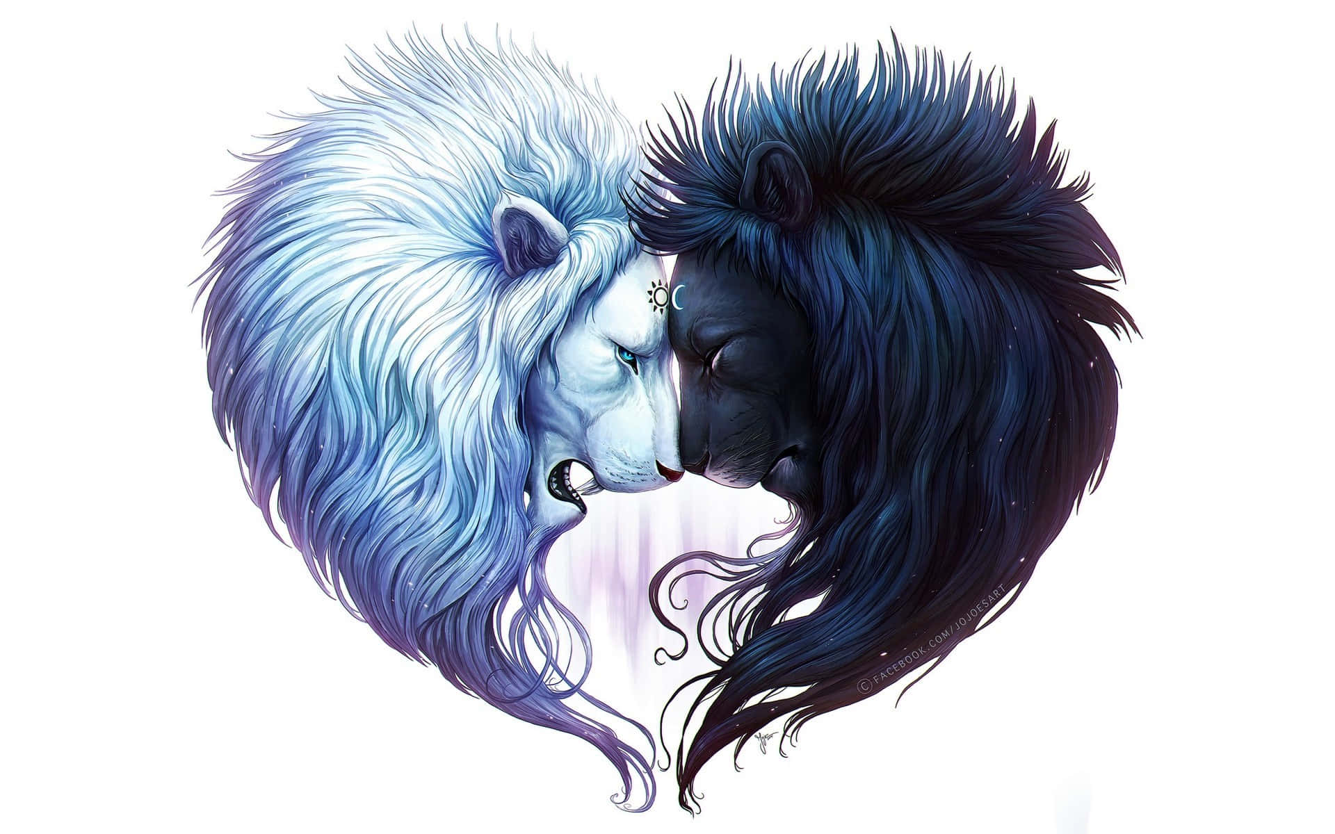 Black And White Lion, white lion, black lion, Full HD Desktop Wallpaper