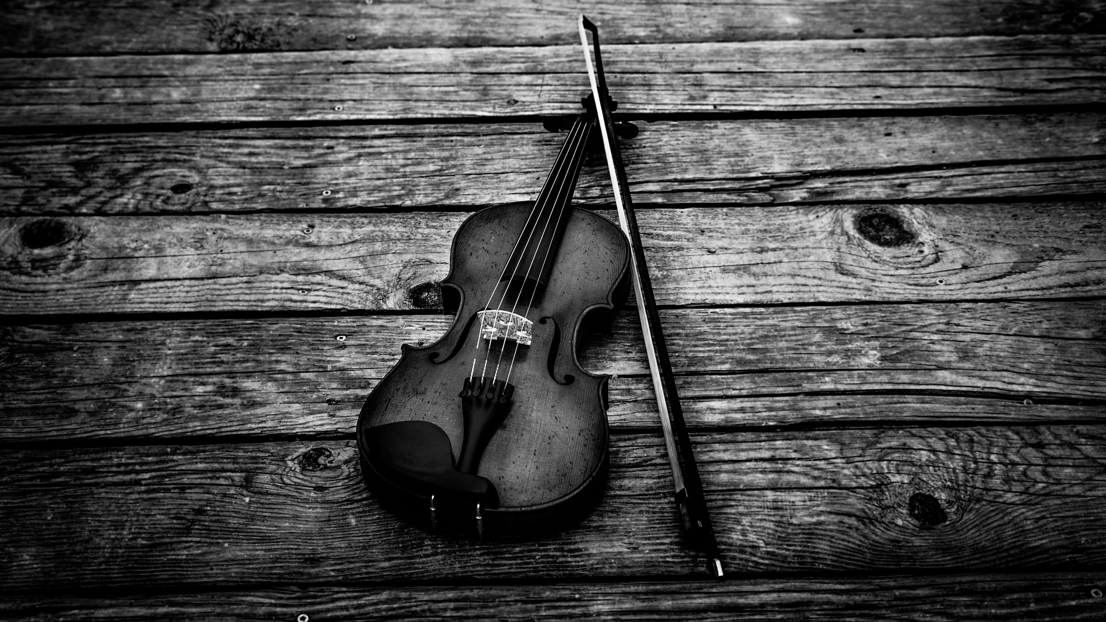 Black And White Music, violin, bow, 4K Desktop Wallpaper