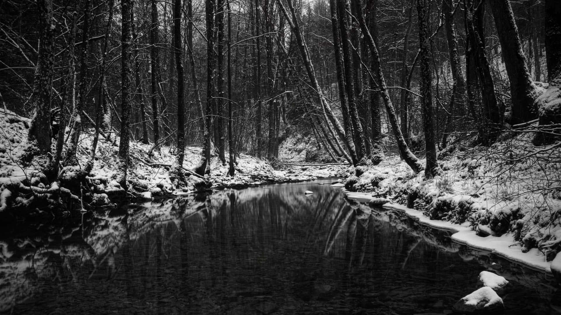 black and white nature, winter forest, calm stream, Full HD Desktop Wallpaper