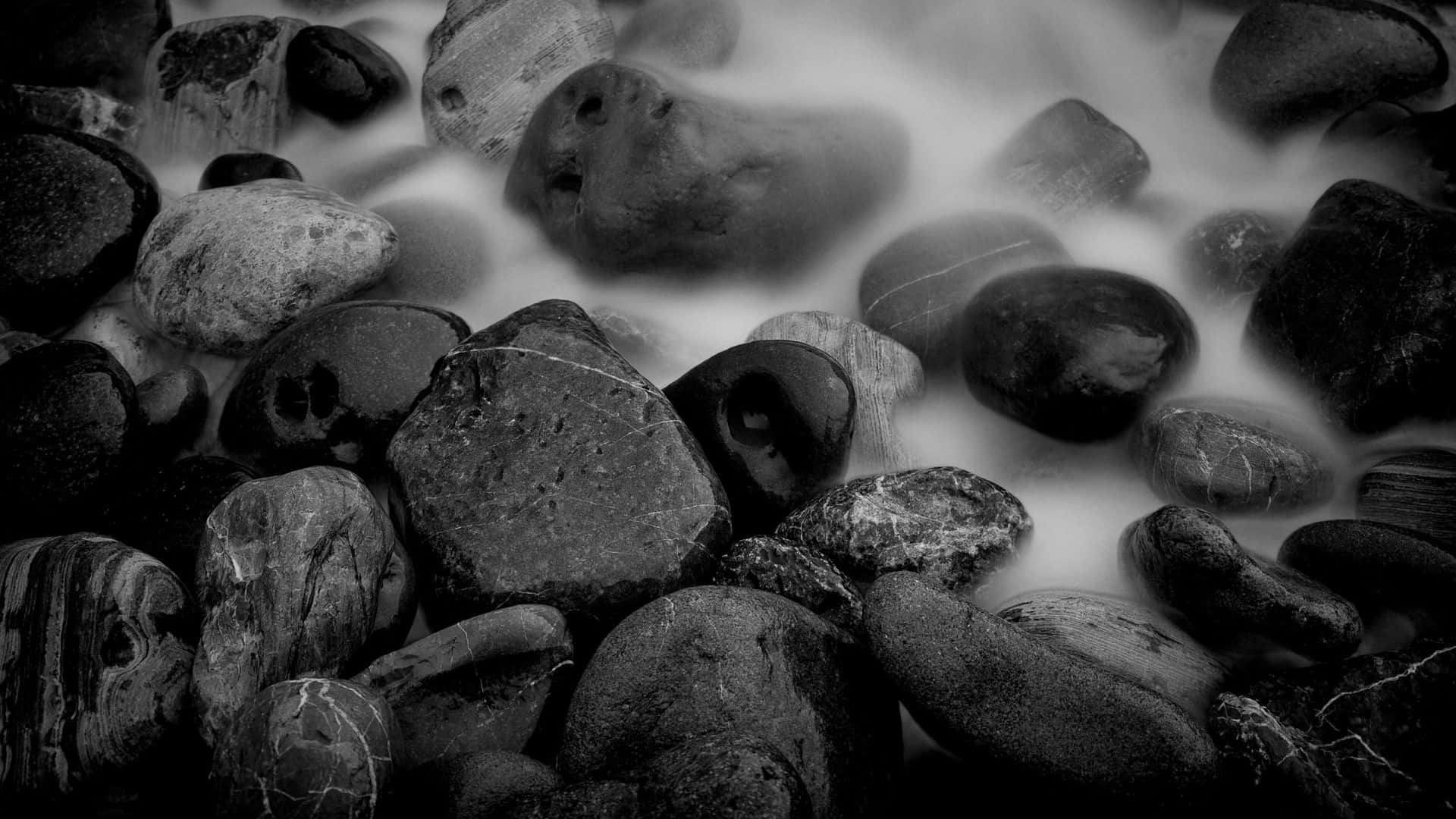 black and white nature, 1920 x 1080, monochrome, Full HD Desktop Wallpaper