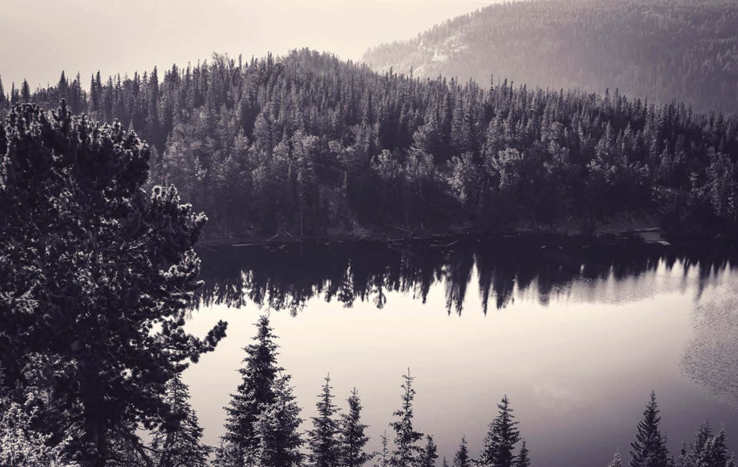 monochrome lake, snow-dusted pine forests, hazy sky, HD Desktop Wallpaper