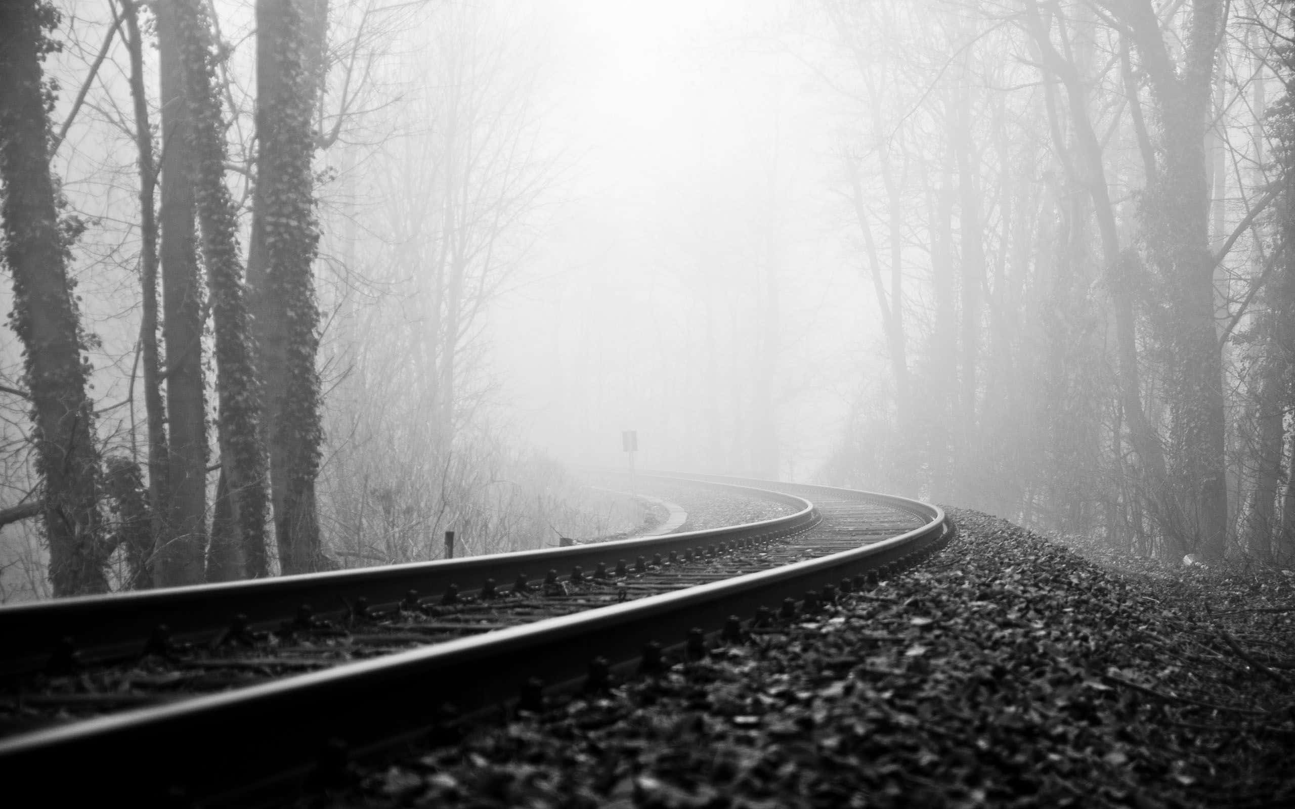 black and white nature, winding railway track, misty forest, 2K Desktop Wallpaper