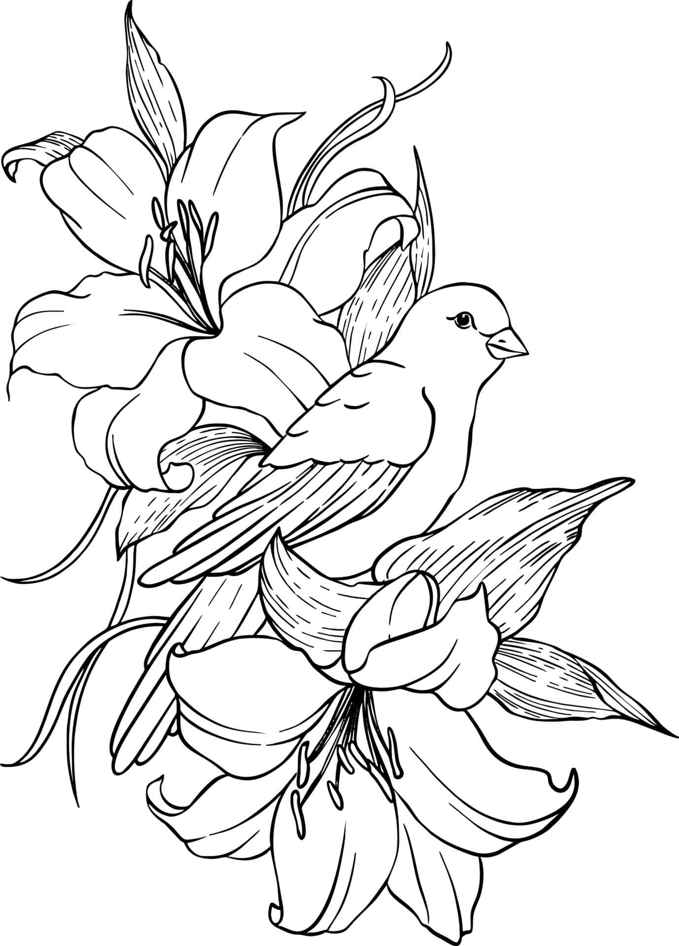 bird, blooming lilies, detailed feather textures, Full HD Phone Wallpaper