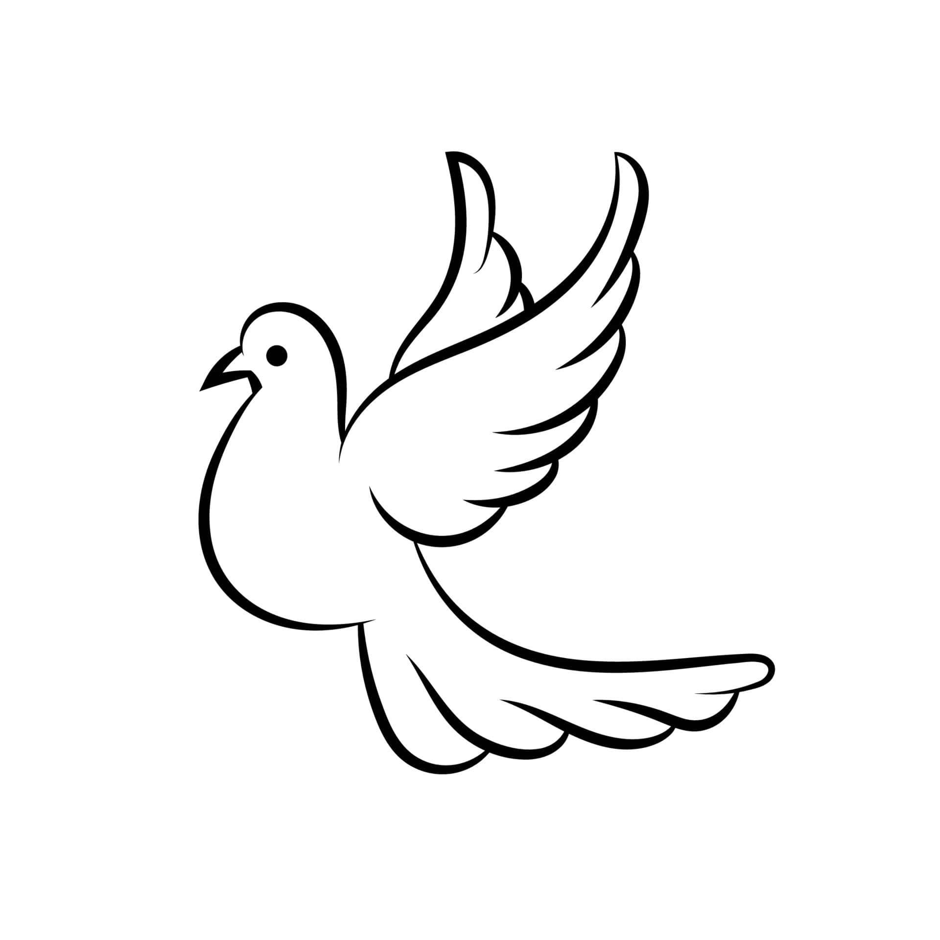dove in flight, black line drawing, plain white background, Full HD Desktop Wallpaper