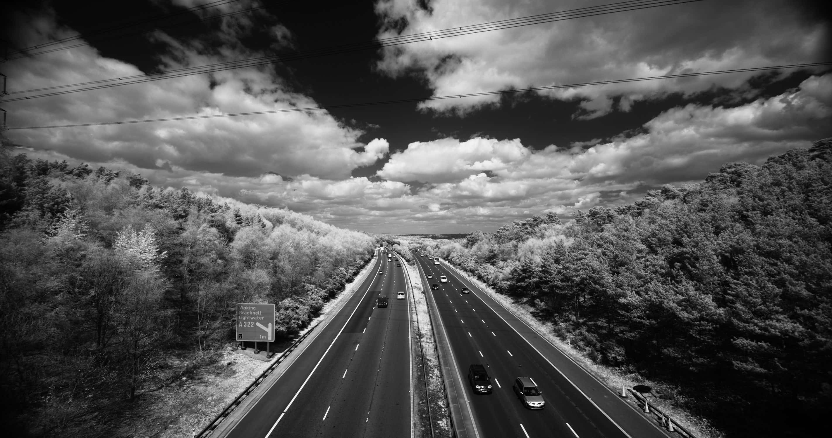monochrome highway, country road, forest hills, 2K Desktop Wallpaper