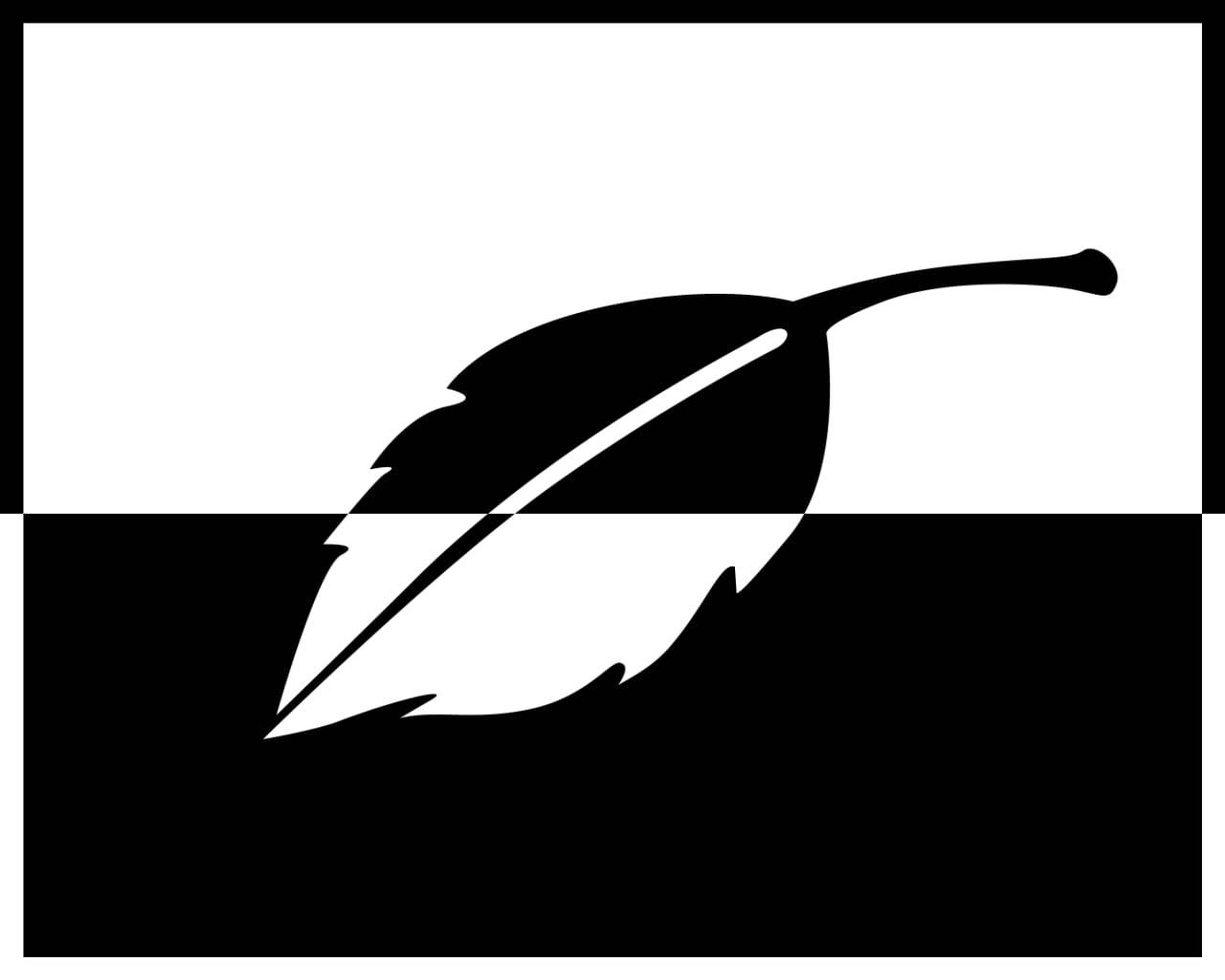 leaf graphic, black and white, stylized feather, HD Desktop Wallpaper