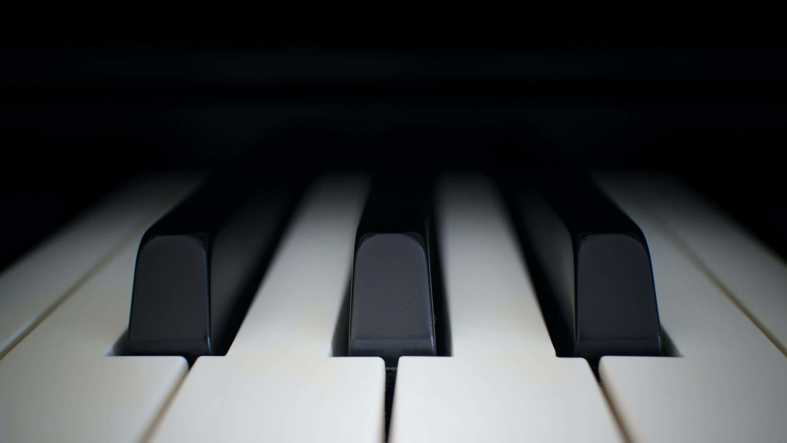 black and white piano, piano keys, soft light, 2K Desktop Wallpaper