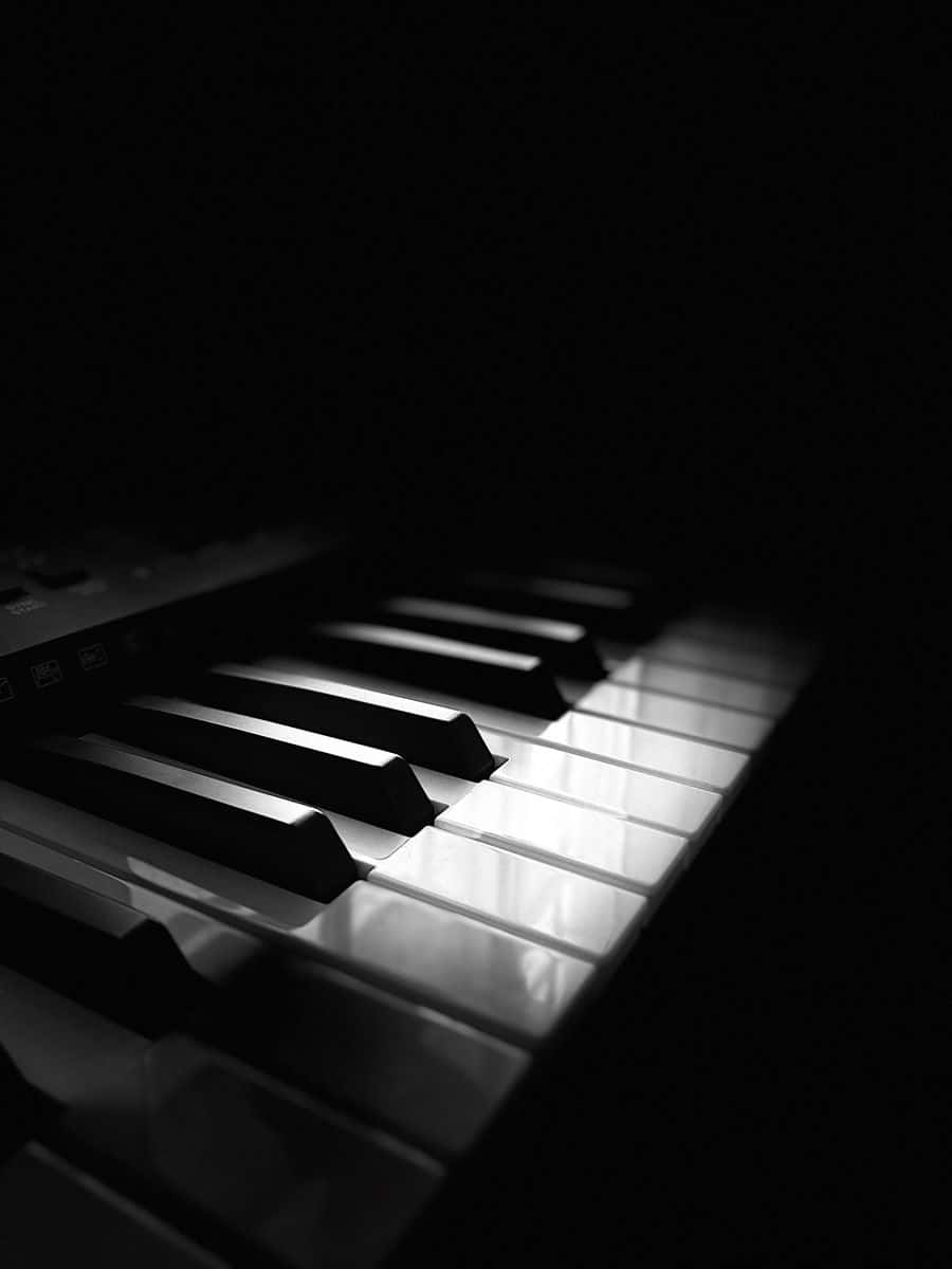 black and white piano, piano keys, spotlight, SD Phone Wallpaper