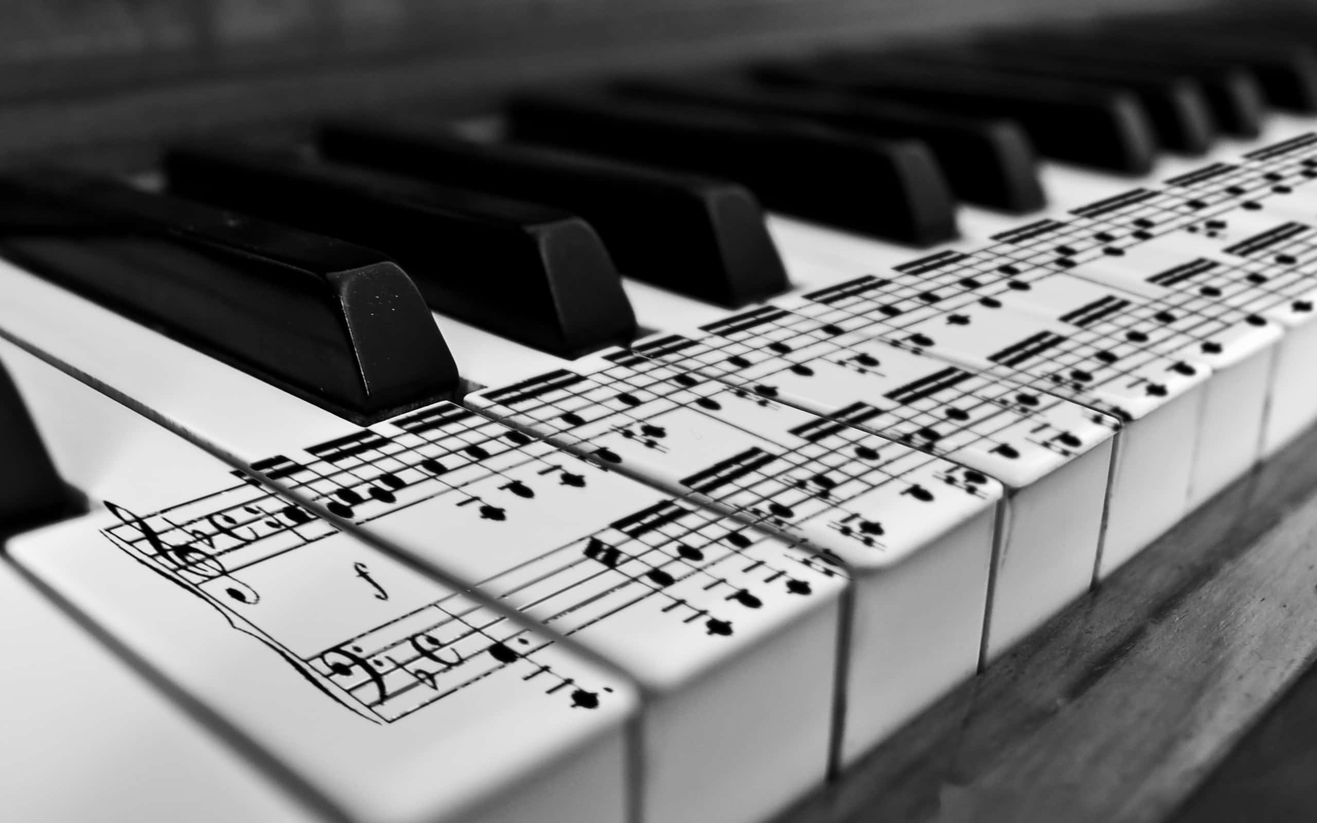 piano keyboard, black and white shot, musical notes, 2K Desktop Wallpaper