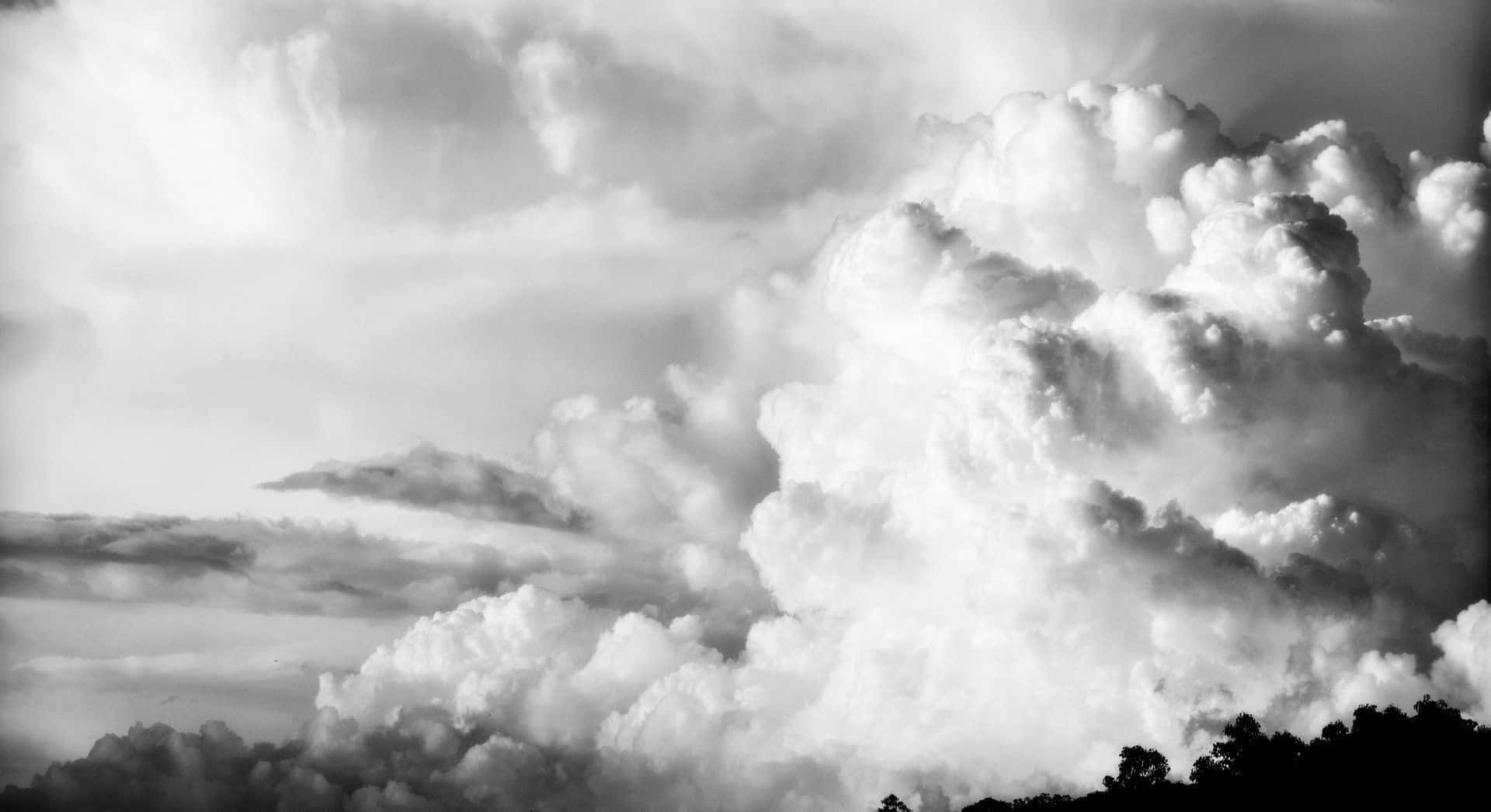 Black And White Sky, monochrome clouds, dark treeline silhouette, Full HD Desktop Wallpaper