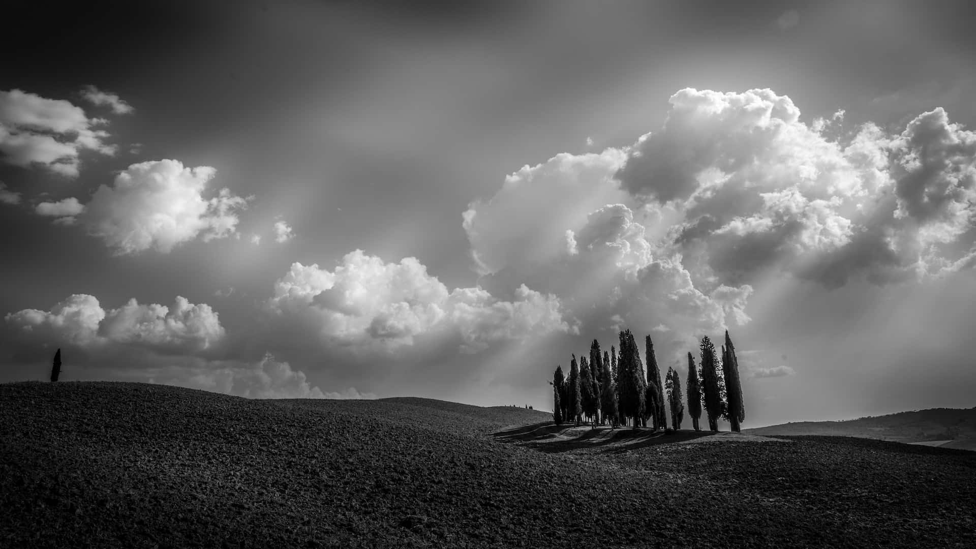 Black And White Sky, rolling hills, cypress trees, Full HD Desktop Wallpaper