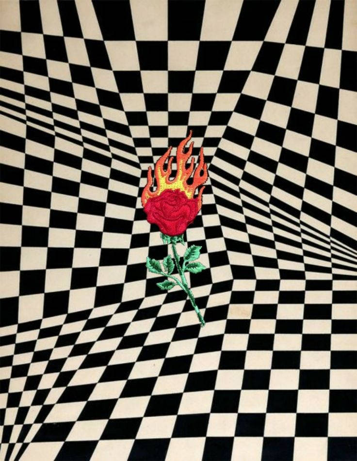 flaming rose, distorted black and white squares, warped black and white checkered floor, SD Phone Wallpaper