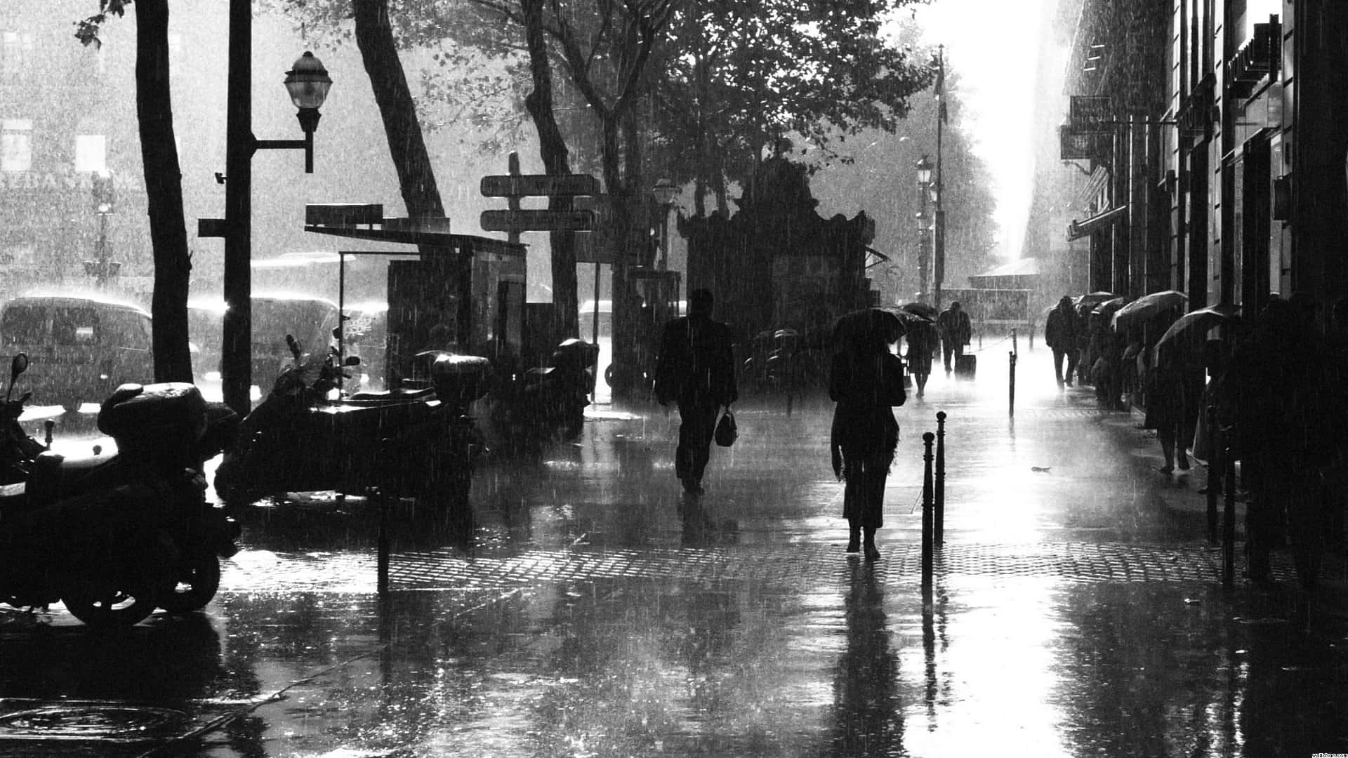 Black And White Storm, rain-slicked city street, silhouetted pedestrians, Full HD Desktop Wallpaper