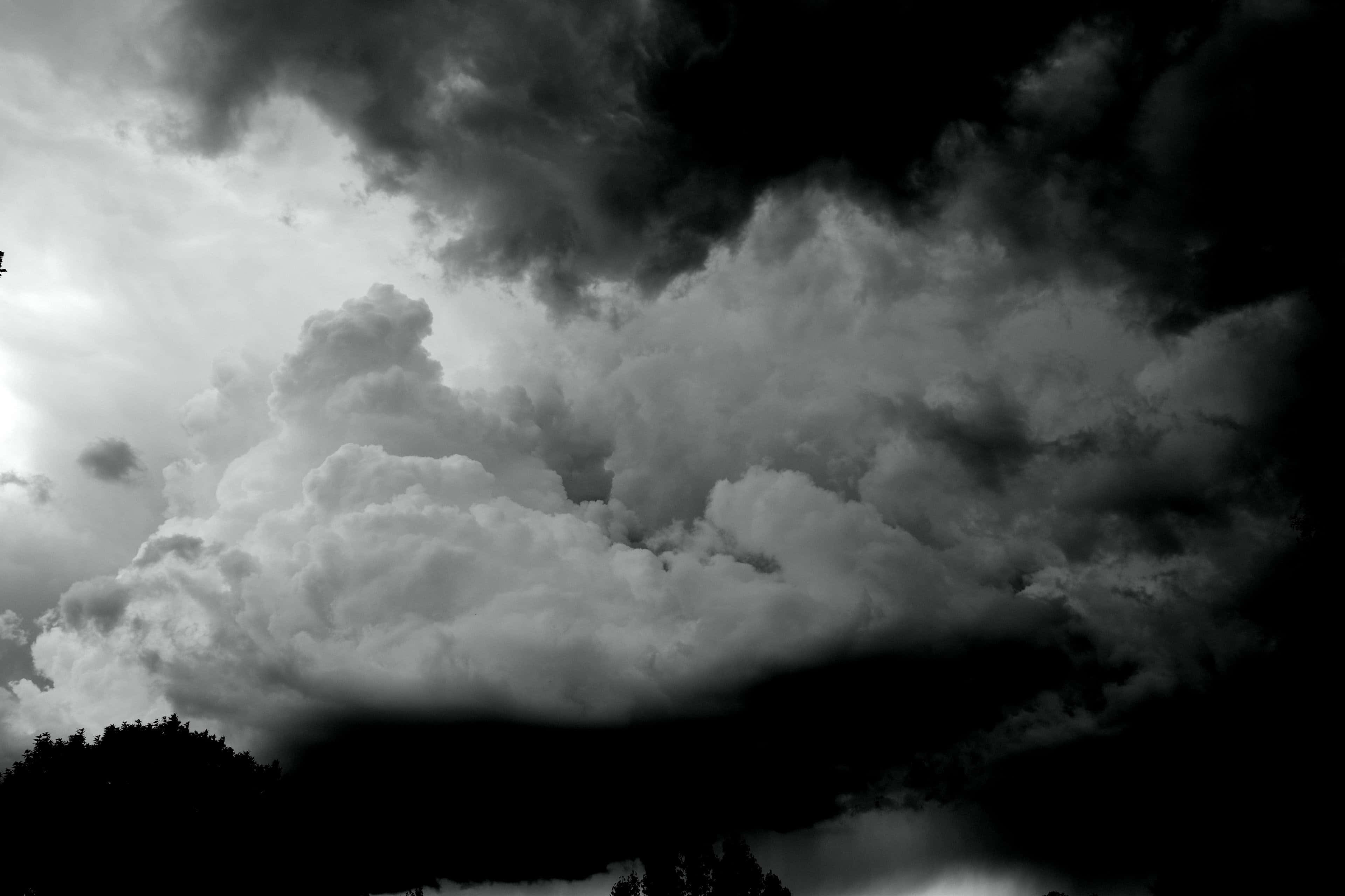 Black And White Storm, monochrome clouds, dark treeline, 4K Desktop Wallpaper