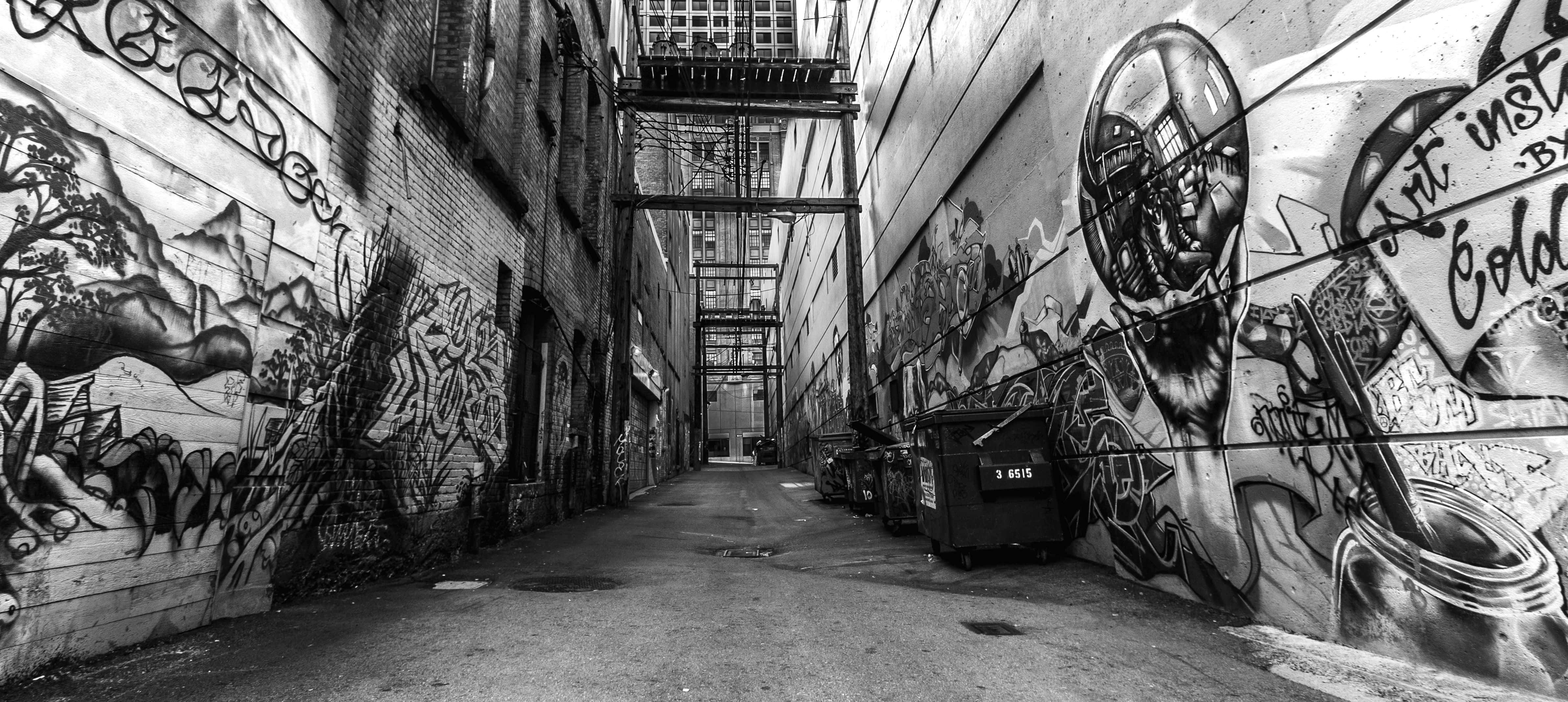black and white streetscape, urban alleyway, graffiti murals, 4K Desktop Wallpaper