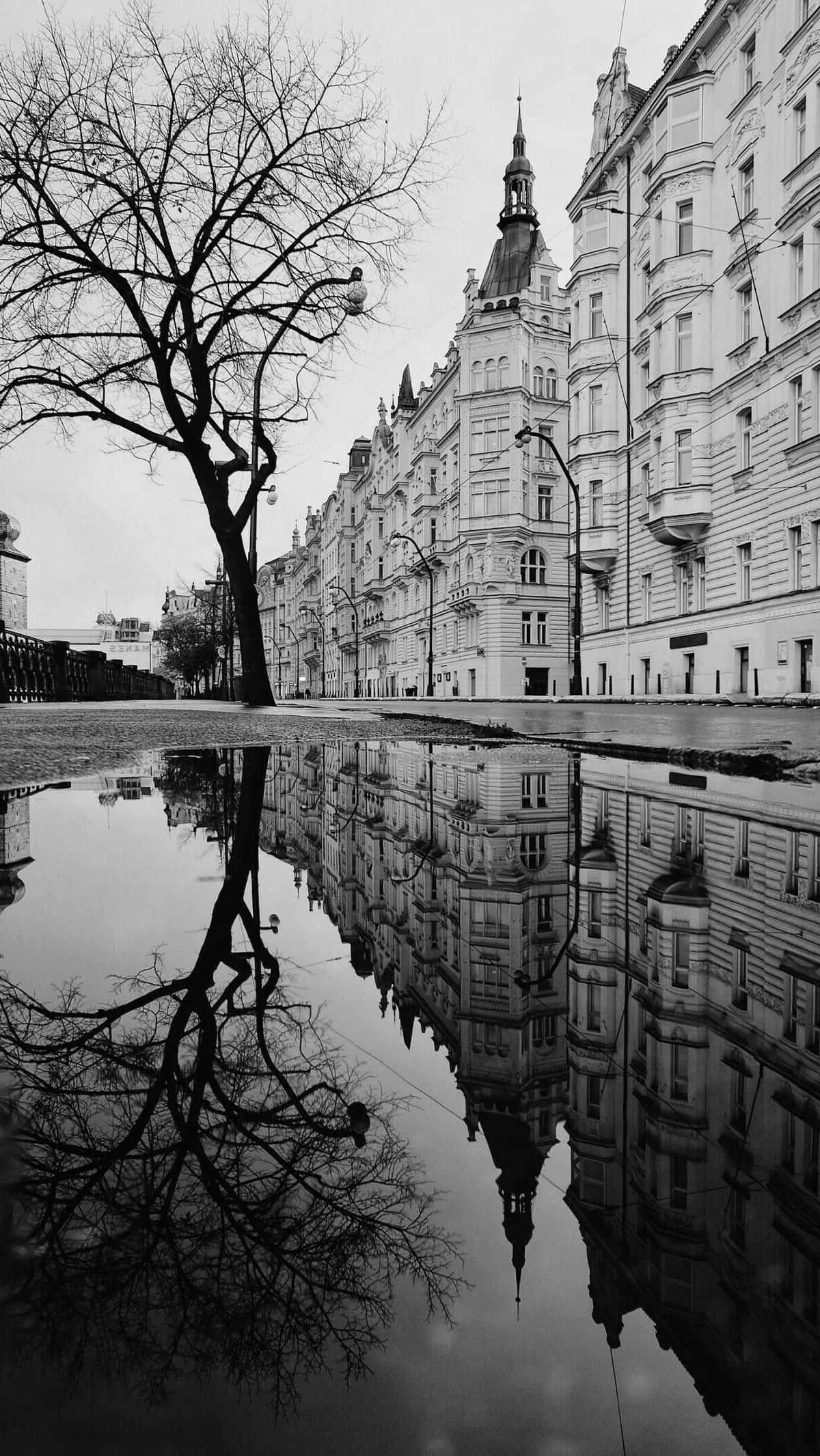 black and white street, bustling street, ornate buildings, Full HD Phone Wallpaper