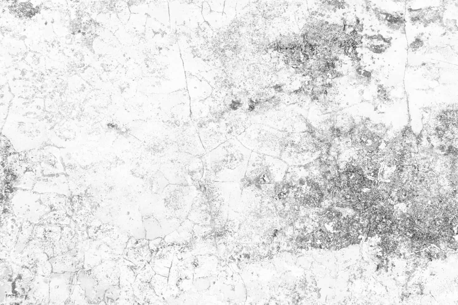 black and white texture, weathered white plaster, cracked and peeling texture, HD Desktop Wallpaper