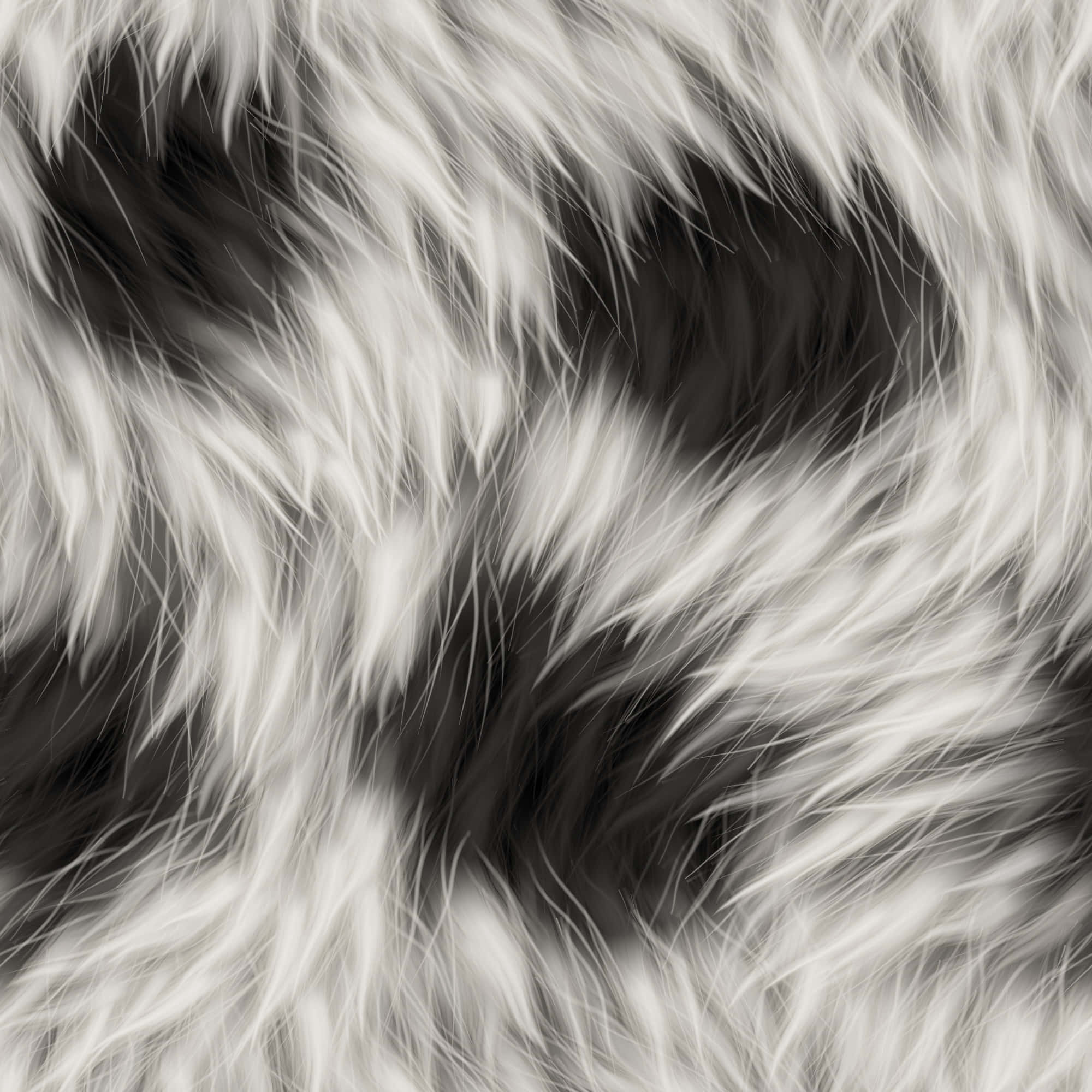 black and white texture, swirling black and white fur, soft highlights, Full HD Desktop Wallpaper