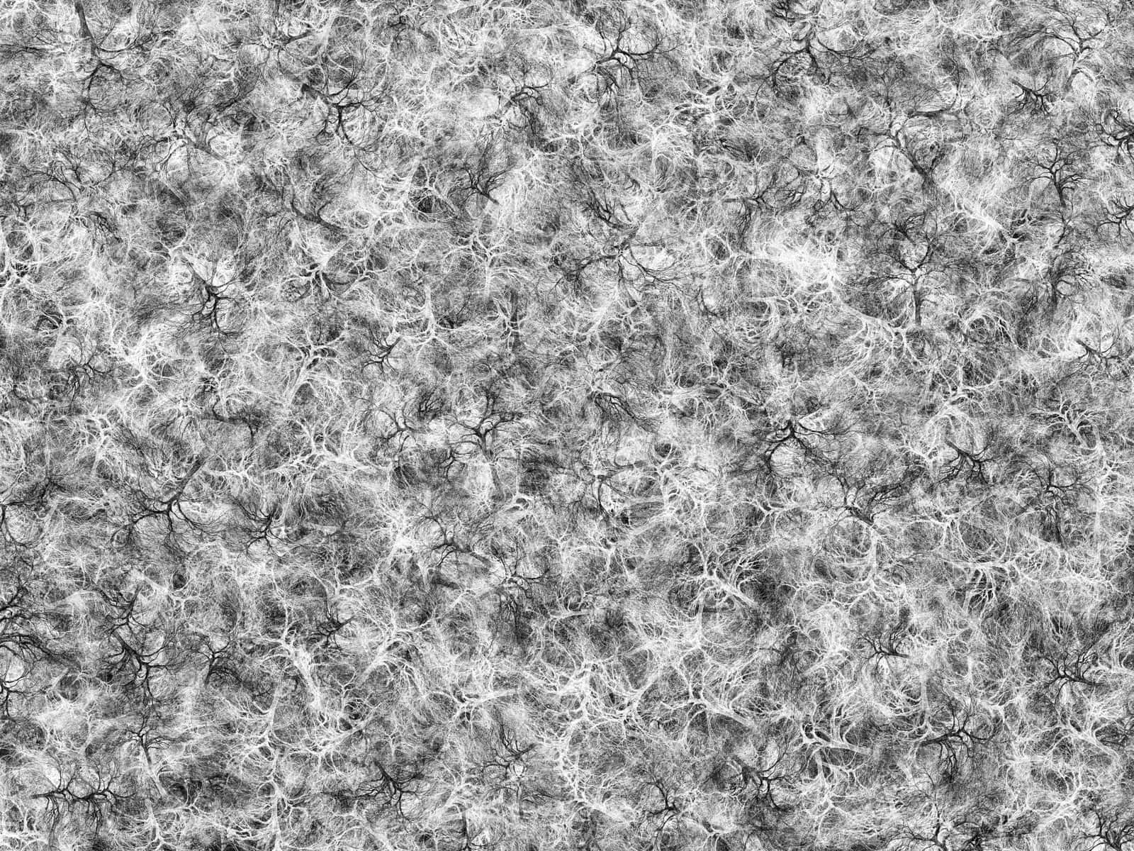 black and white texture, tangled white filaments, textured gray background, HD Desktop Wallpaper