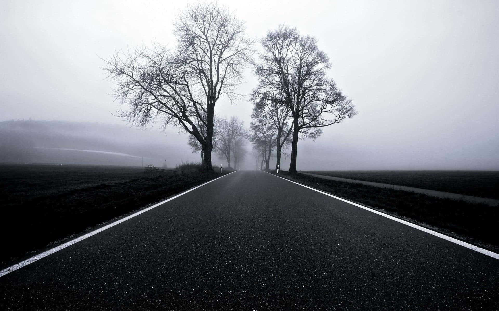 Black and White Tree, asphalt road, dense fog, Full HD Desktop Wallpaper