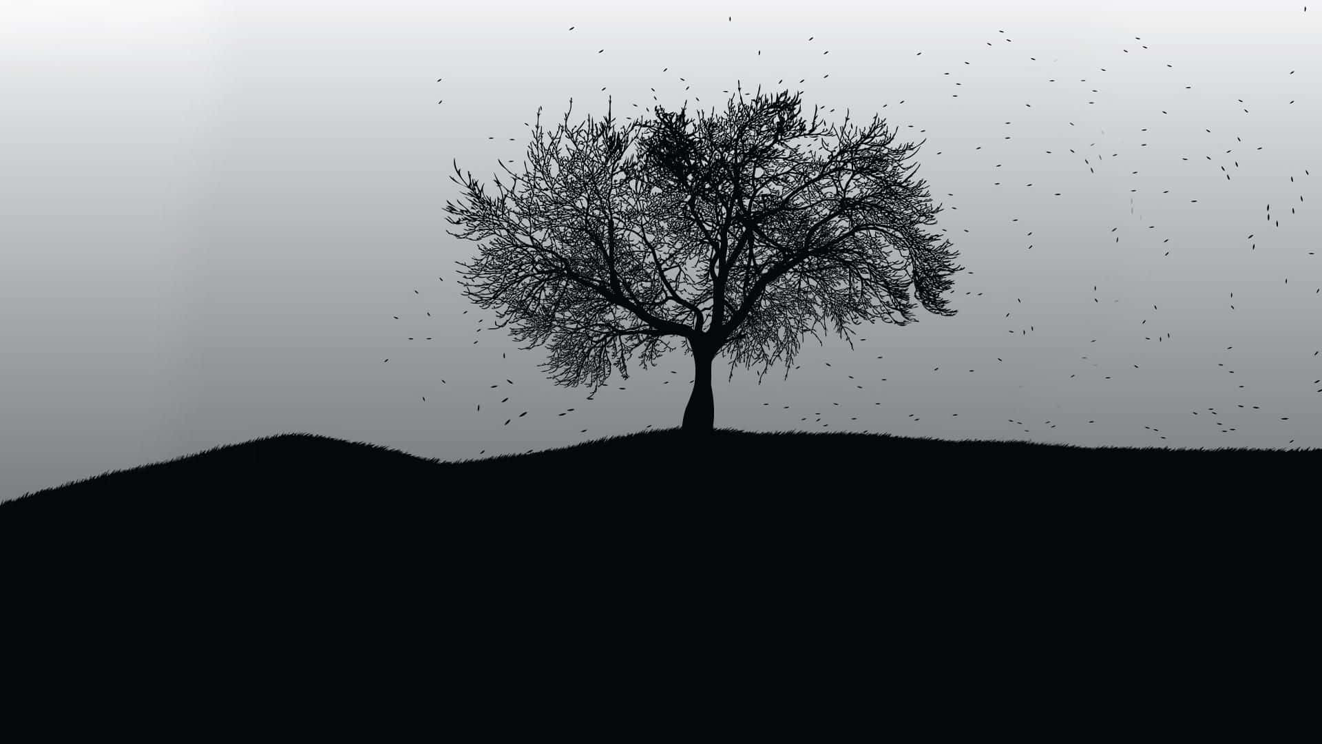 Black And White Tree, lone leafless tree, silhouetted, Full HD Desktop Wallpaper