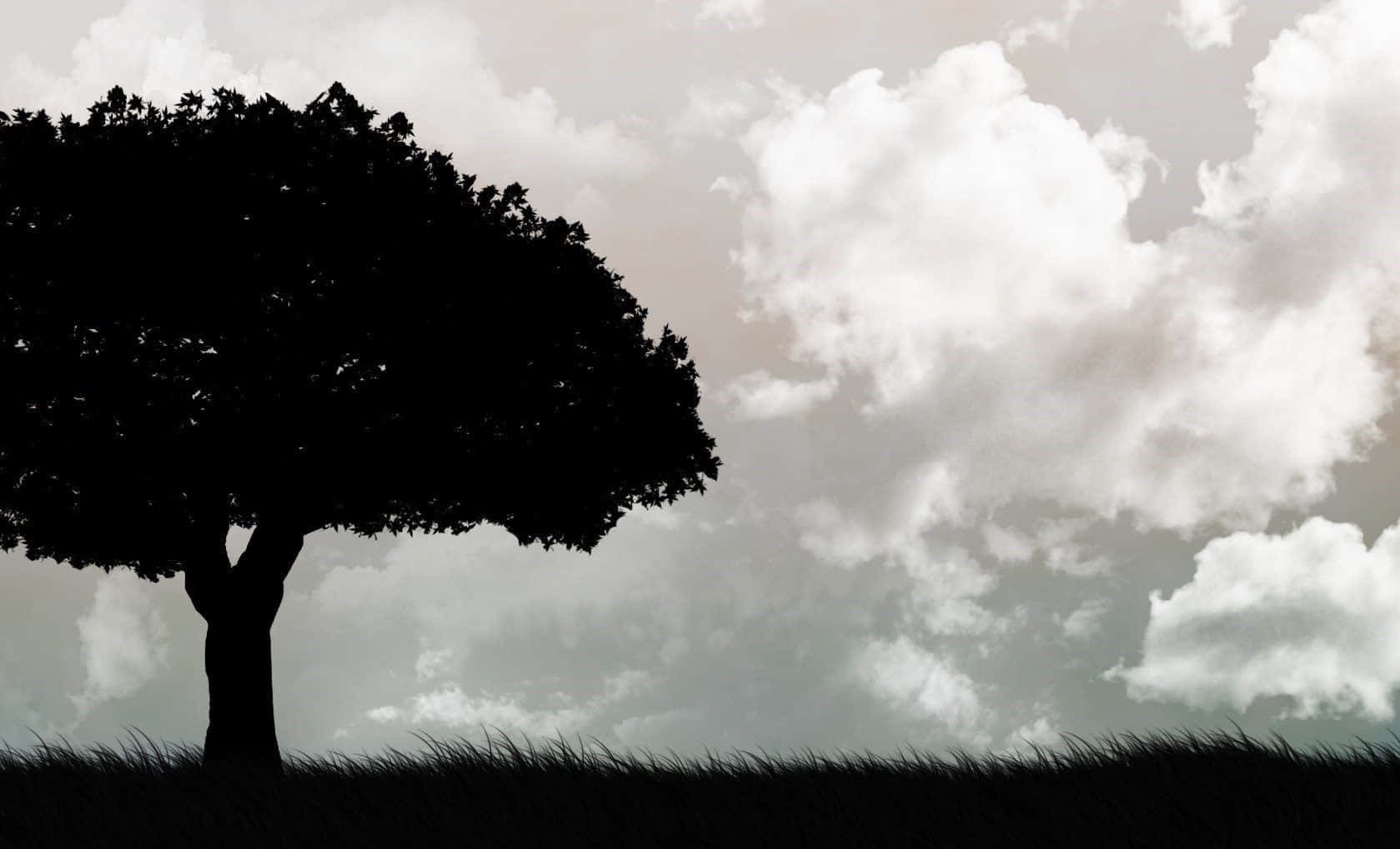 Black And White Tree, lone tree, dark silhouette, HD Desktop Wallpaper
